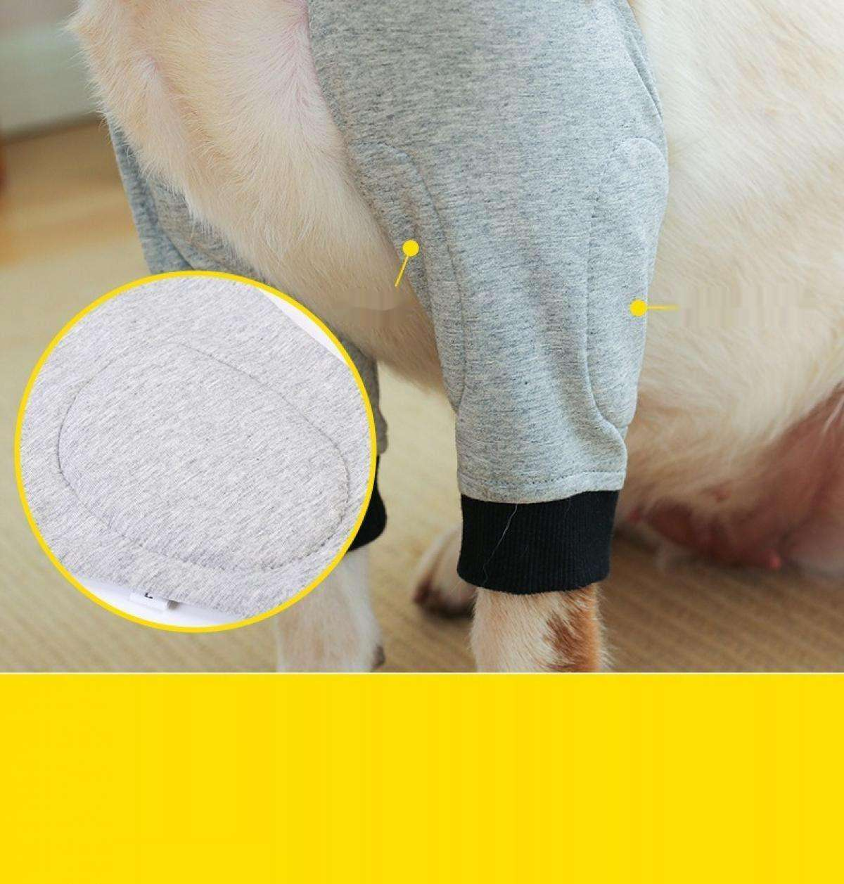 Ein Hund trägt eine graue Hose. Die Hose hat schwarze Manschetten. Eine Nahaufnahme zeigt einen Flicken auf der Hose. Gelber Hintergrund.