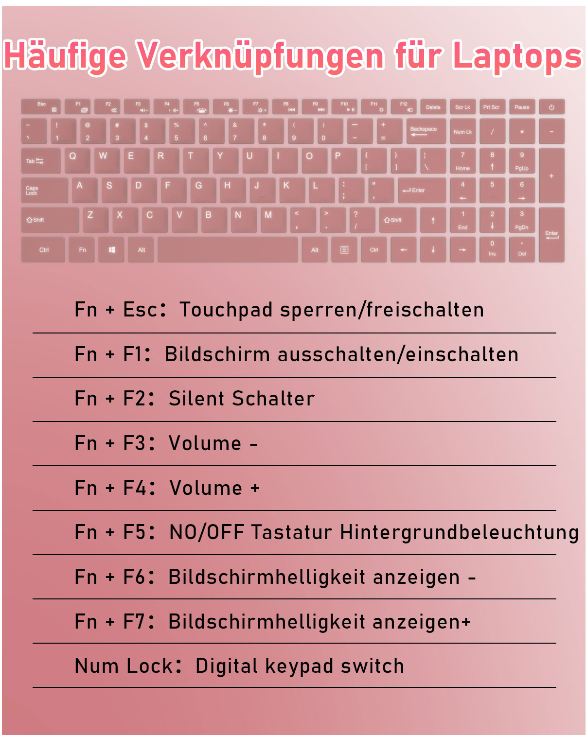 Eine Laptop-Tastatur mit Funktionstasten und Beschriftungen für Verknüpfungen, wie Lautstärke, Helligkeit und Touchpad.