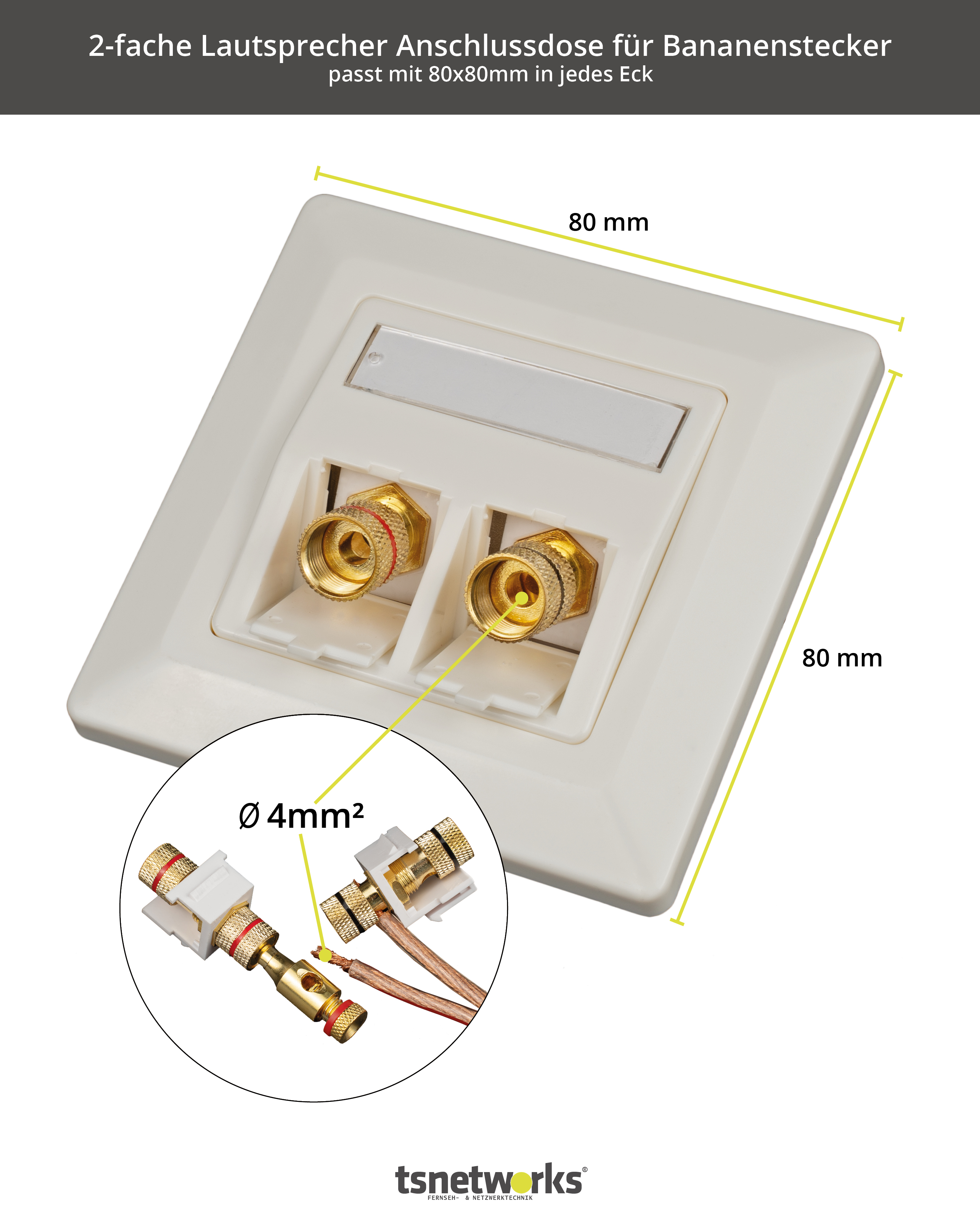 Ein weißer Lautsprecheranschluss mit zwei Bananenstecker-Eingängen, 80 mm Abmessungen und Nahaufnahme.