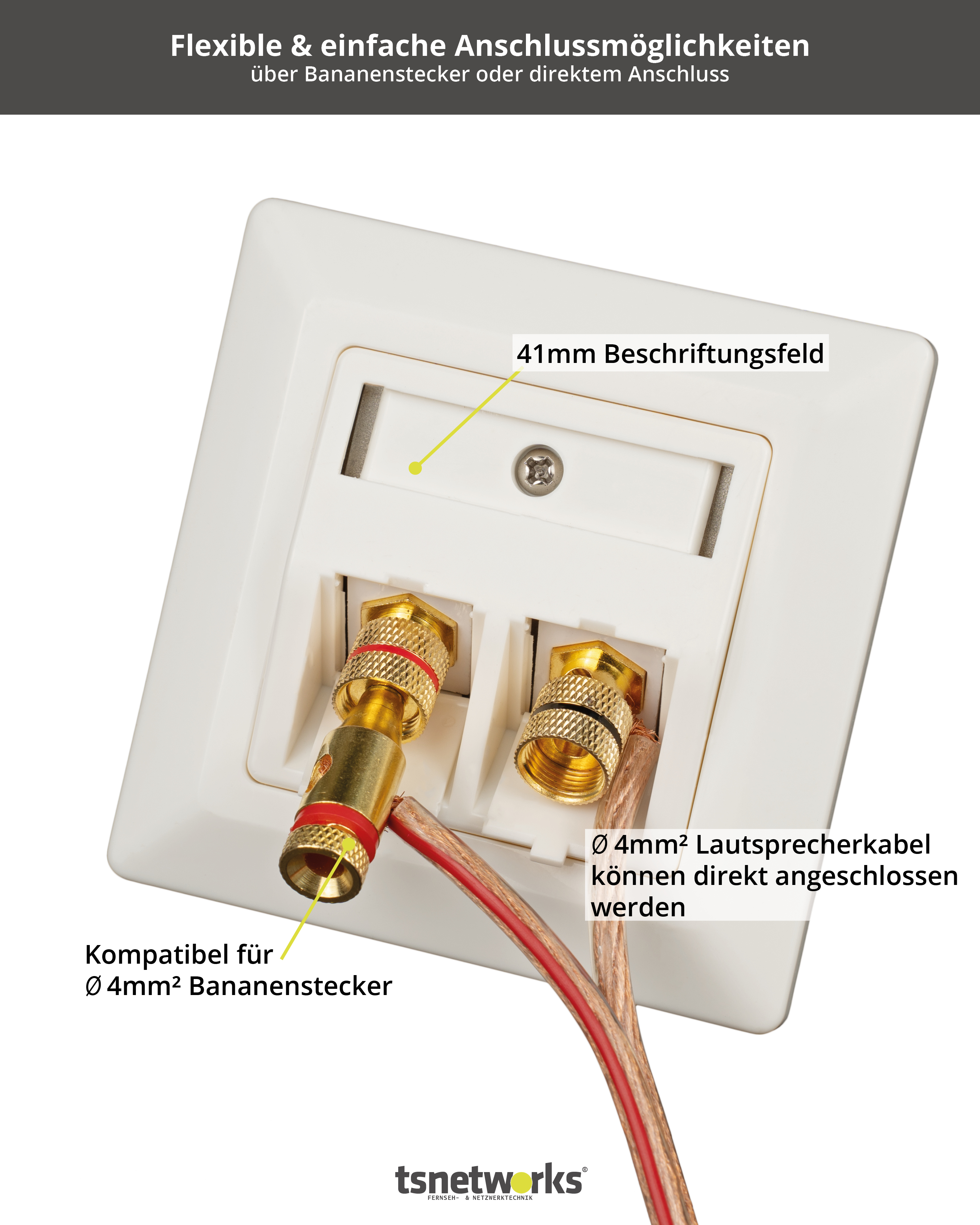 Weiße Steckdose mit zwei goldenen Steckern. Rote und braune Drähte sind sichtbar. Text kennzeichnet verschiedene Merkmale.
