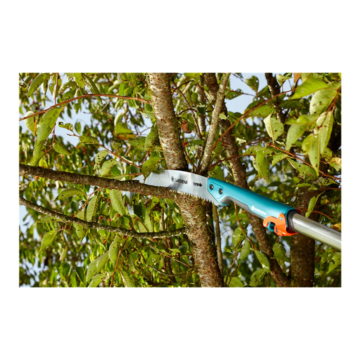 Piła do przycinania tnie gałąź drzewa. Piła jest niebieska i srebrna z pomarańczowym zamkiem. Widoczne są zielone liście i kora drzewa.