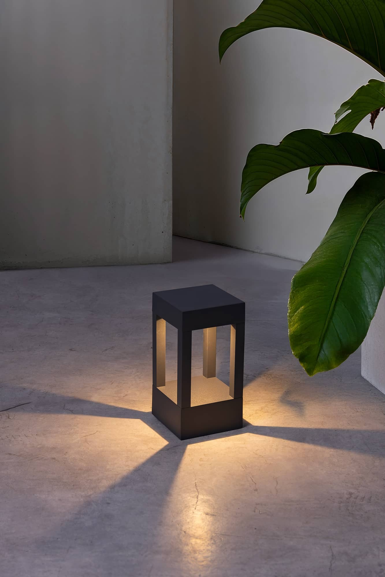 Una lampada quadrata scura emette luce su una superficie di cemento. Foglie verdi incorniciano il lato destro.