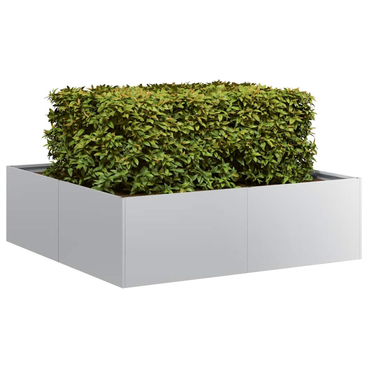 Una fioriera rettangolare grigio chiaro contiene una pianta densa e verde. La fioriera è moderna con linee pulite.