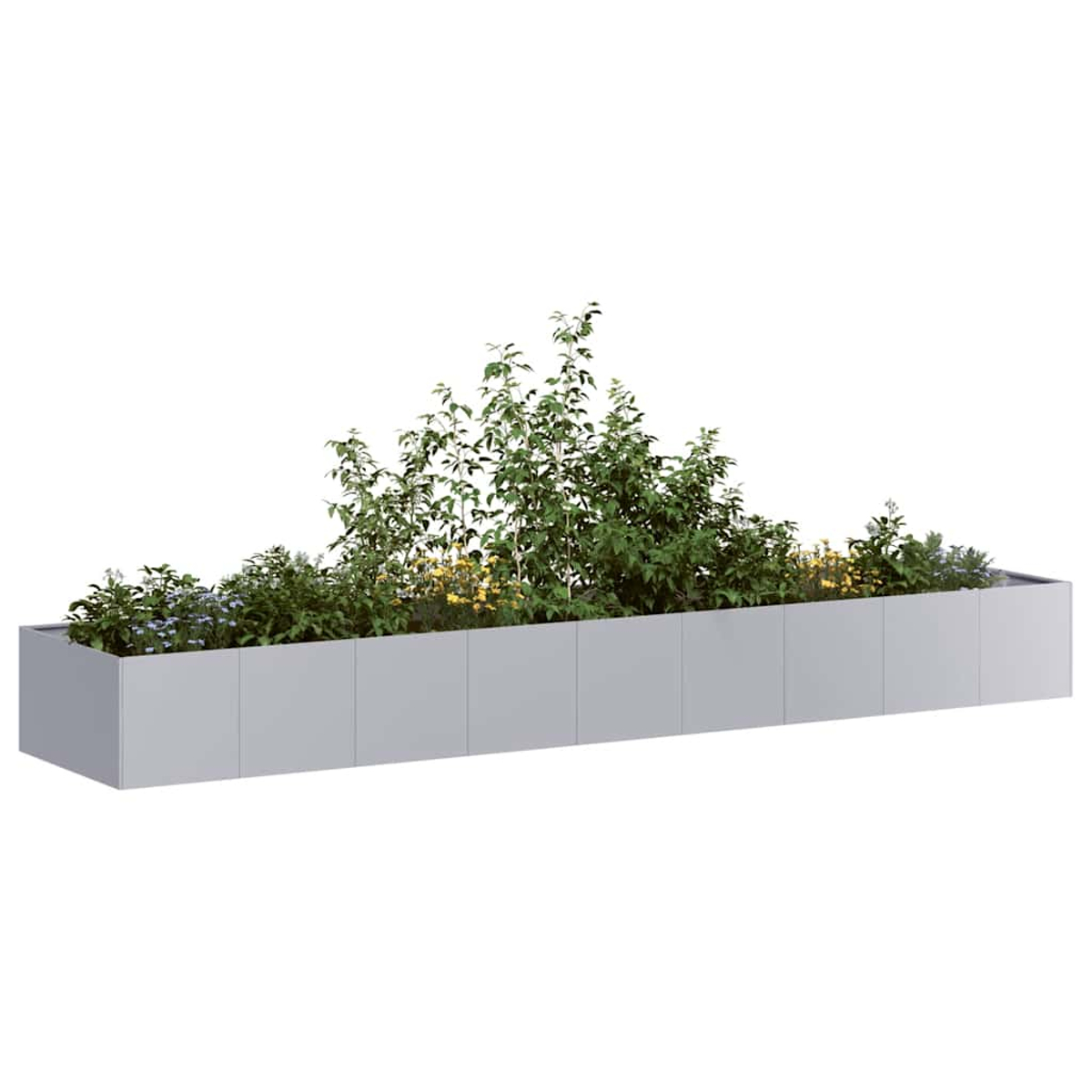 Un'aiuola rettangolare lunga piena di varie piante verdi e fiori gialli. L'aiuola è grigia e si trova su uno sfondo bianco.