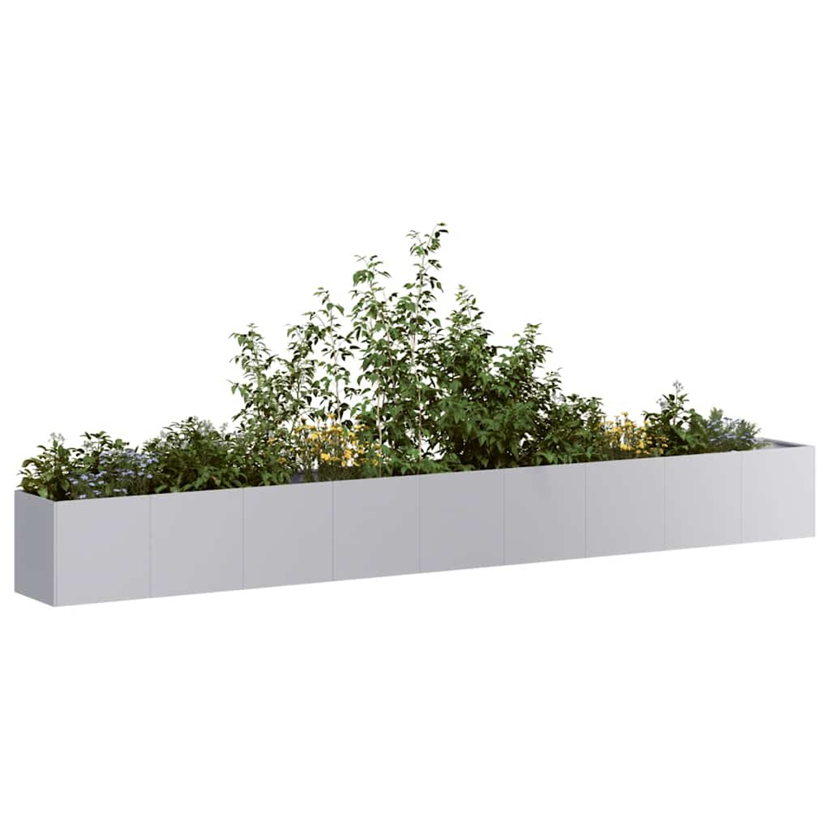 Un'aiuola lunga, rettangolare e bianca piena di piante verdi e piccoli fiori. Lo sfondo è bianco.
