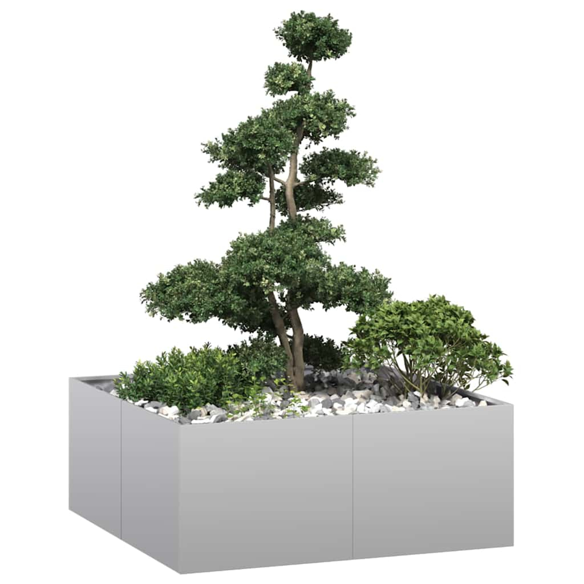 Una fioriera quadrata grigia contiene un alberello, altre piante verdi e pietre bianche. L'albero ha una forma a strati.