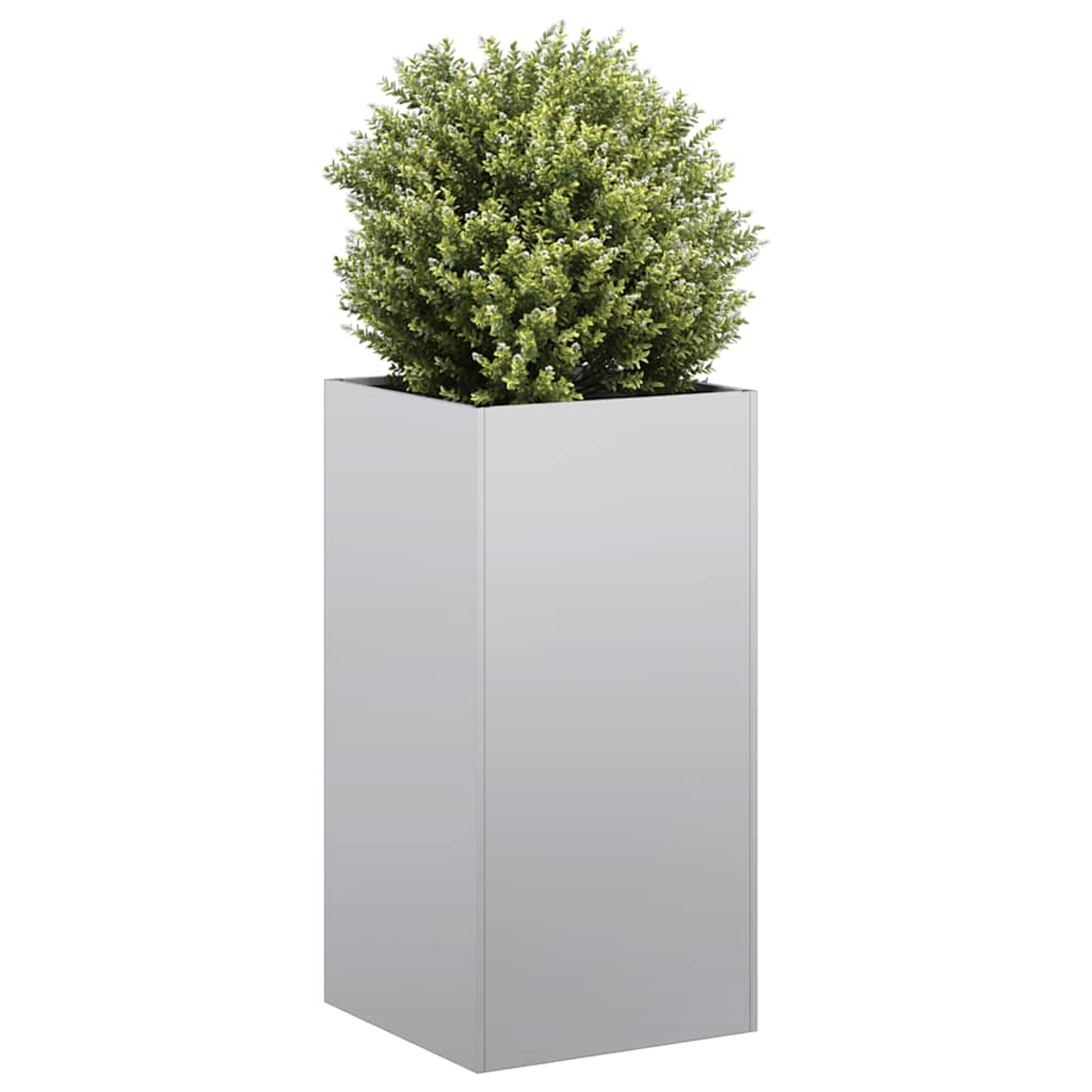 Un'alta fioriera argentata contiene un cespuglio rotondo e verde. La fioriera è rettangolare e si trova su uno sfondo bianco.
