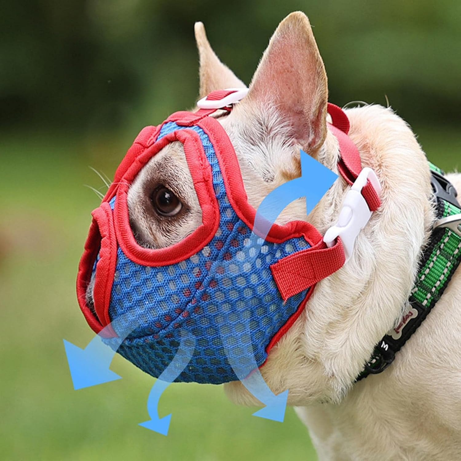 Ein Hund mit blau-roter Schnauze. Pfeile zeigen den Luftstrom an. Der Hund trägt ein grün-schwarzes Halsband. Hintergrund ist grün.