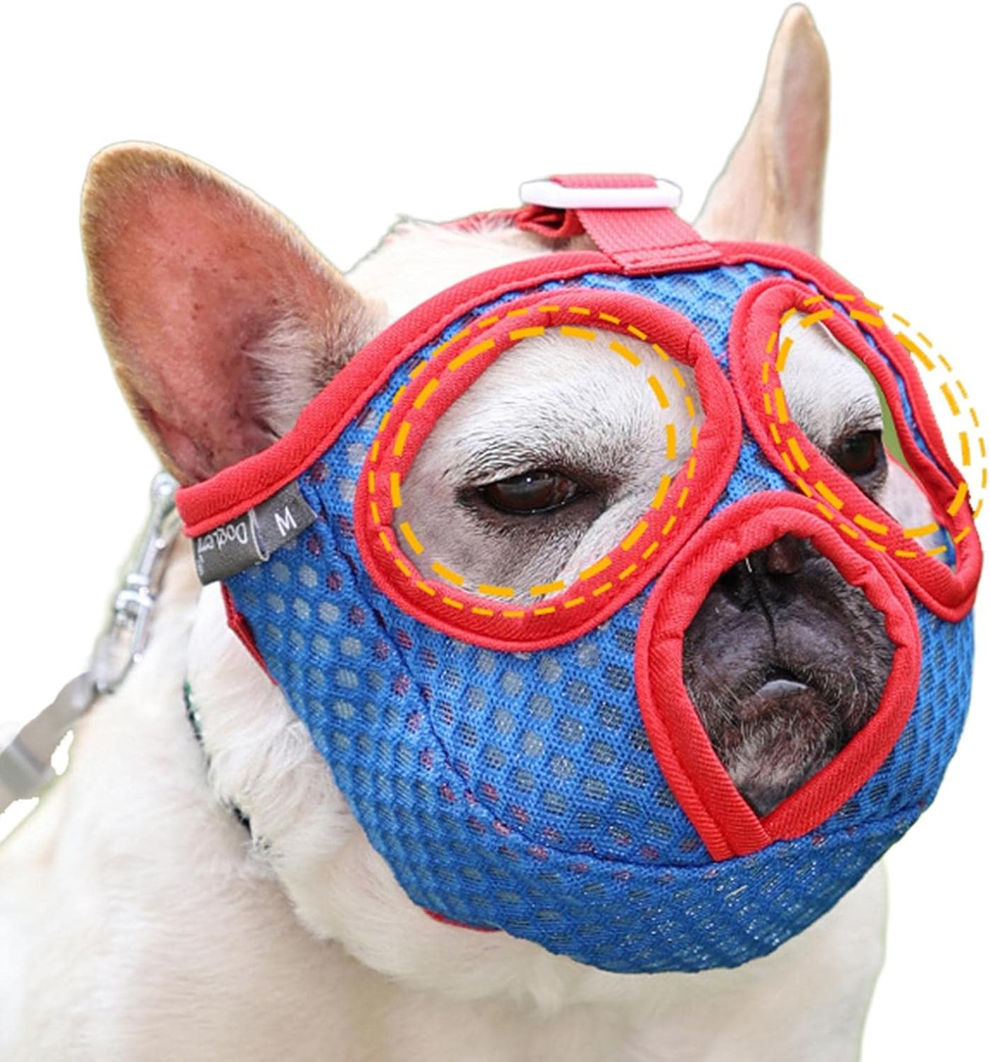 Ein weißer Hund trägt einen blauen Netzmaulkorb mit roter Umrandung. Der Maulkorb bedeckt Schnauze und Augen.