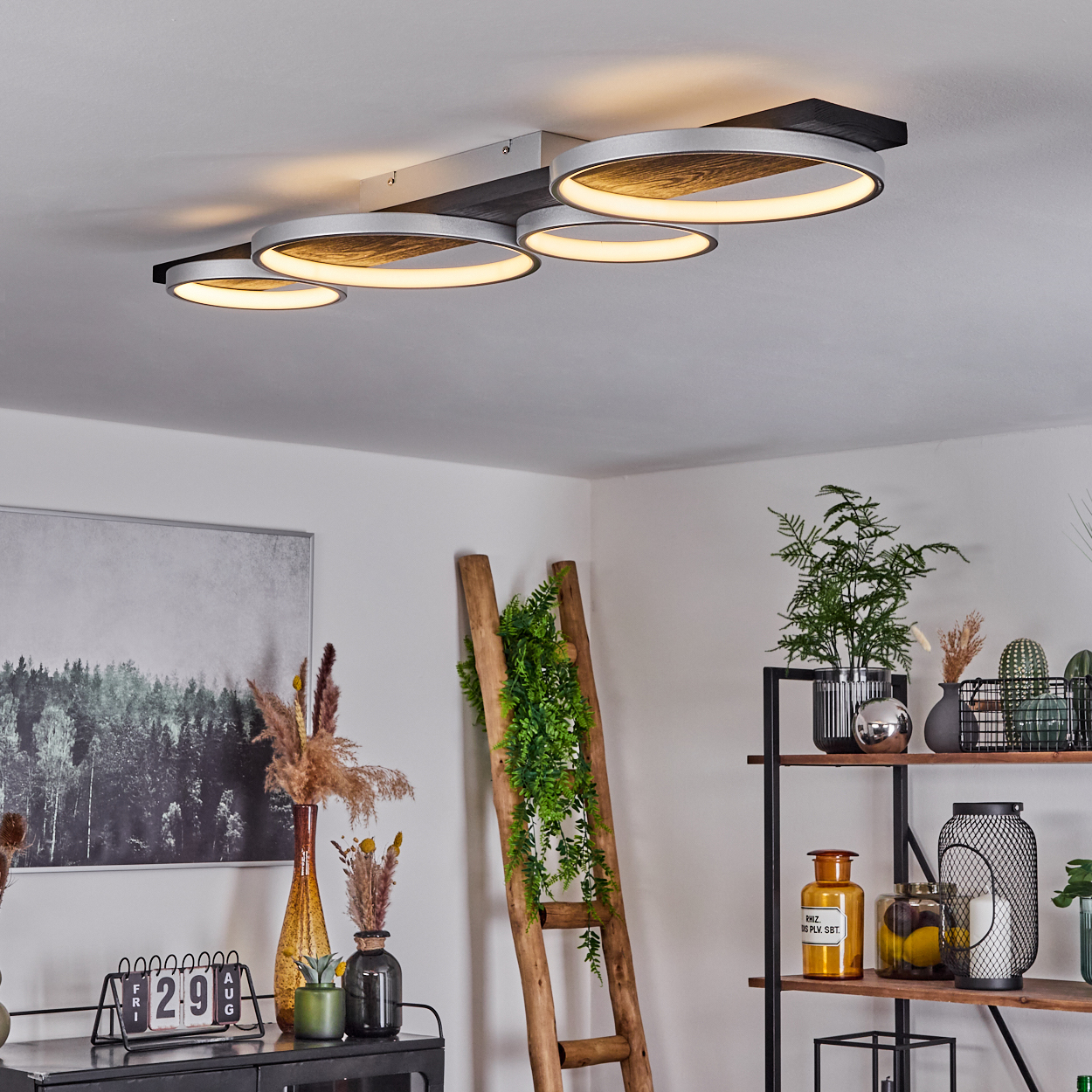 Eine moderne Deckenleuchte mit runden Lichtern. Eine Holzleiter mit Pflanzen, Vasen und ein Regal mit Pflanzen und Dekorationsartikeln sind vorhanden.
