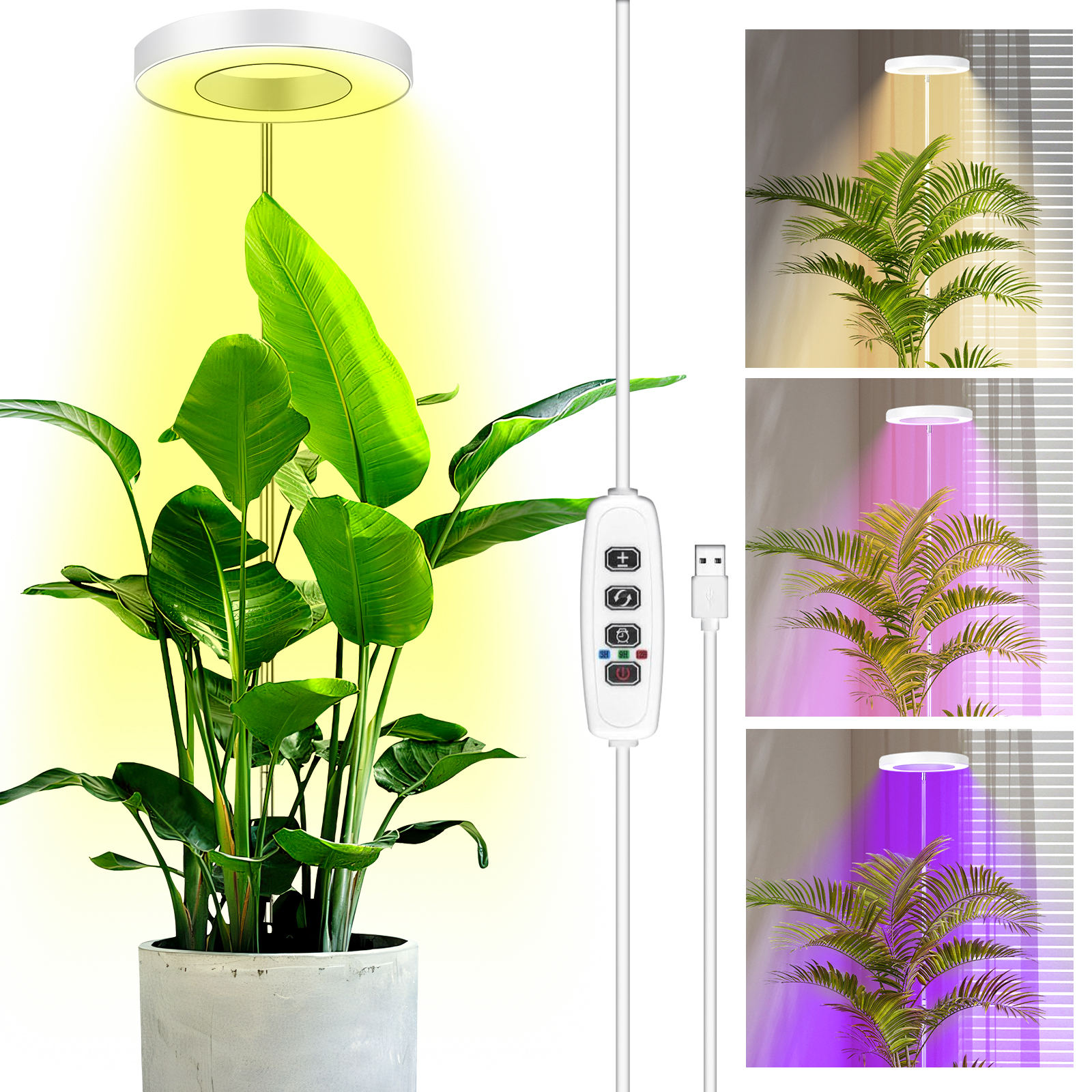 Eine Pflanze mit grünen Blättern unter einer Wachstumslampe. Das Bild zeigt verschiedene Beleuchtungsoptionen.