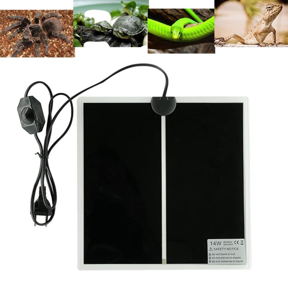 Das Bild zeigt eine schwarze Heizmatte mit Netzkabel, darüber sind Bilder einer Spinne, Schildkröten, einer Schlange und einer Eidechse.