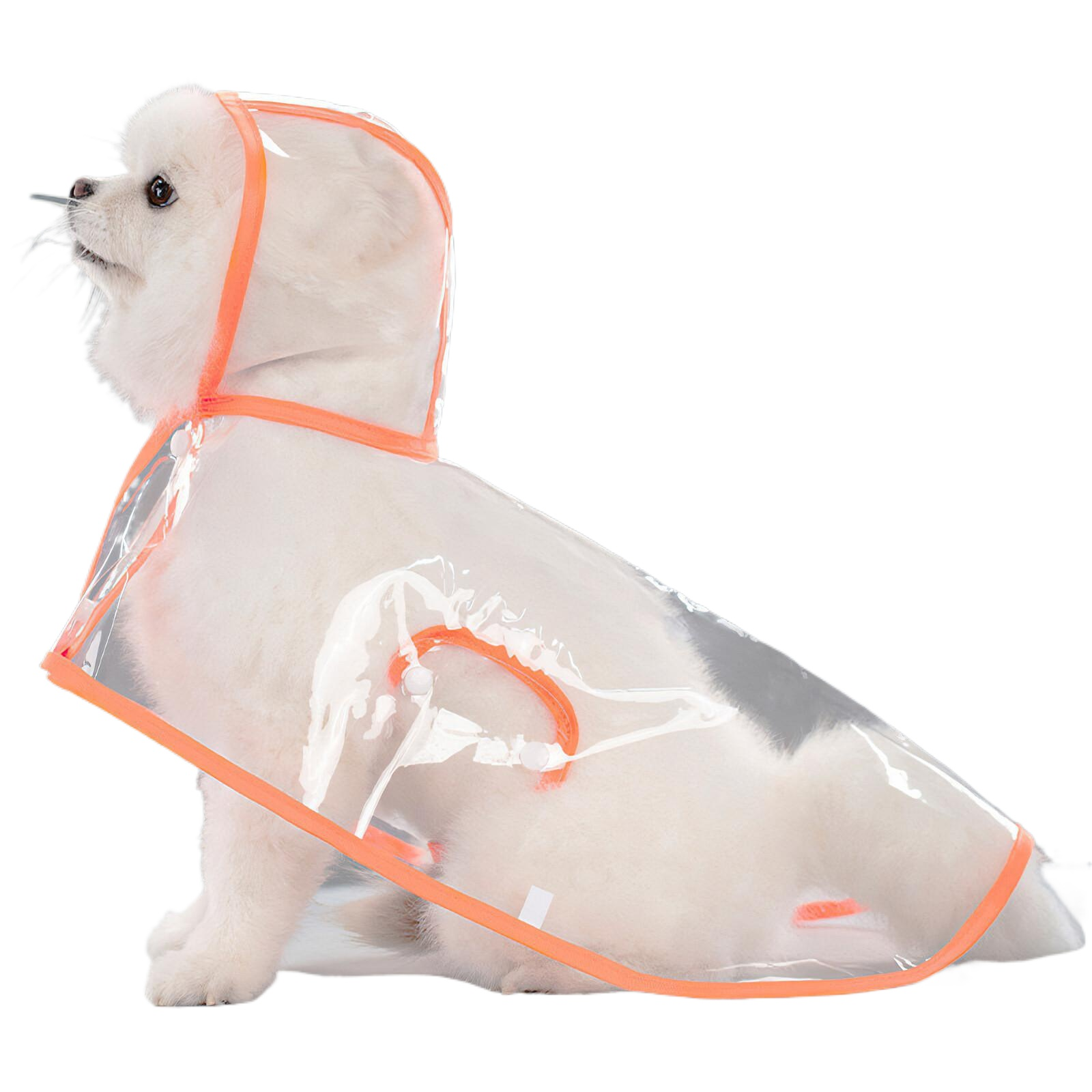 Ein weißer Hund sitzt und trägt einen durchsichtigen Regenmantel mit orangefarbenen Zierleisten. Er blickt nach links, nach oben schauend.