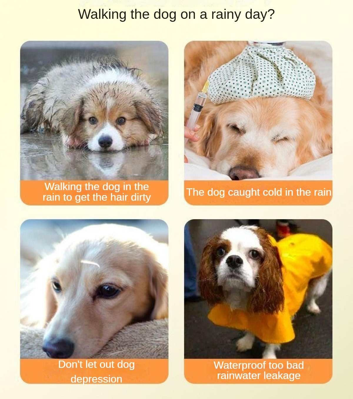Das Bild zeigt vier Panels über Hunde im Regen: nasser Hund, Hund mit Eisbeutel, trauriger Hund und Hund im Regenmantel.