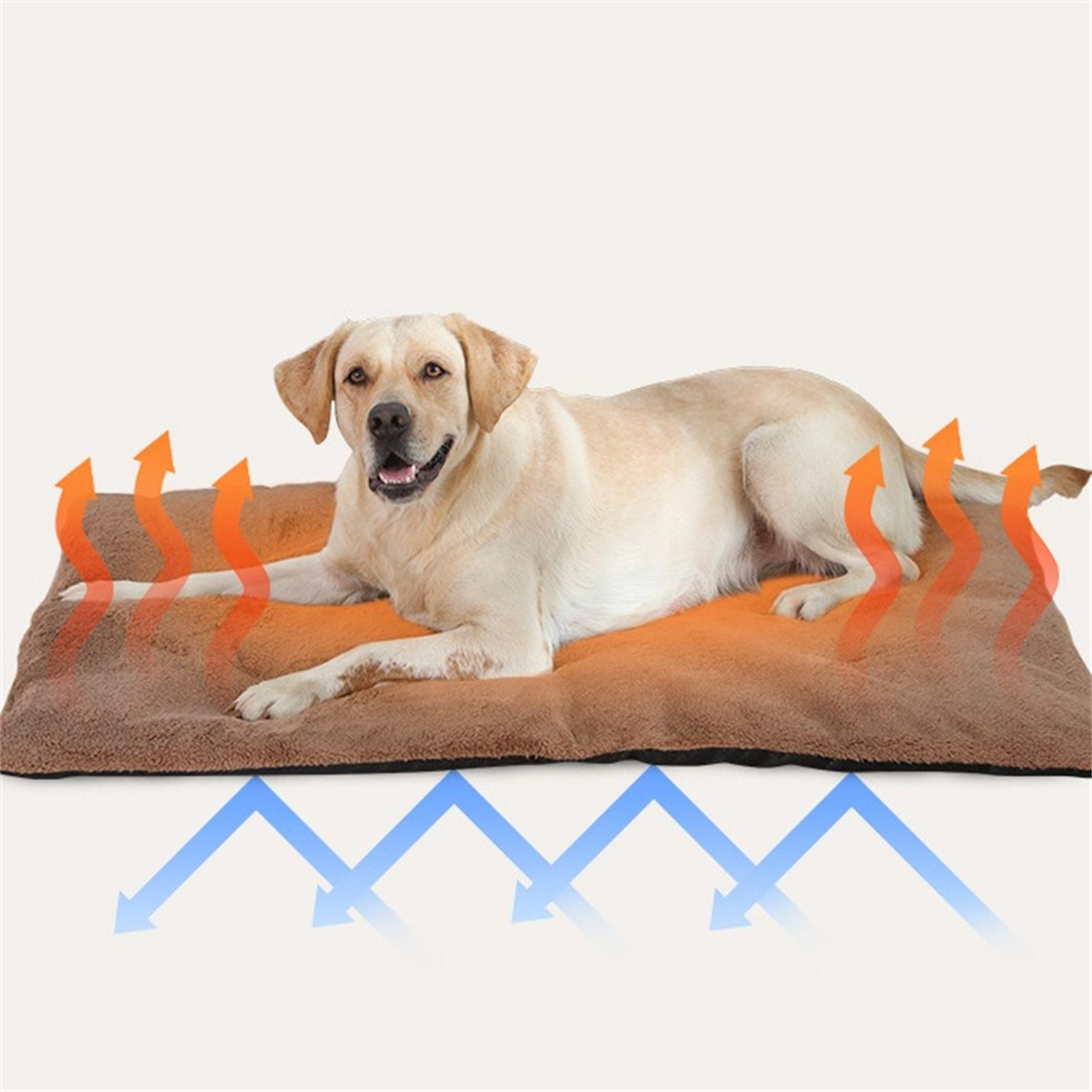Ein Labrador liegt auf einem beheizten Hundebett. Orangefarbene Pfeile zeigen aufsteigende Wärme, blaue Pfeile die Wärmequelle.