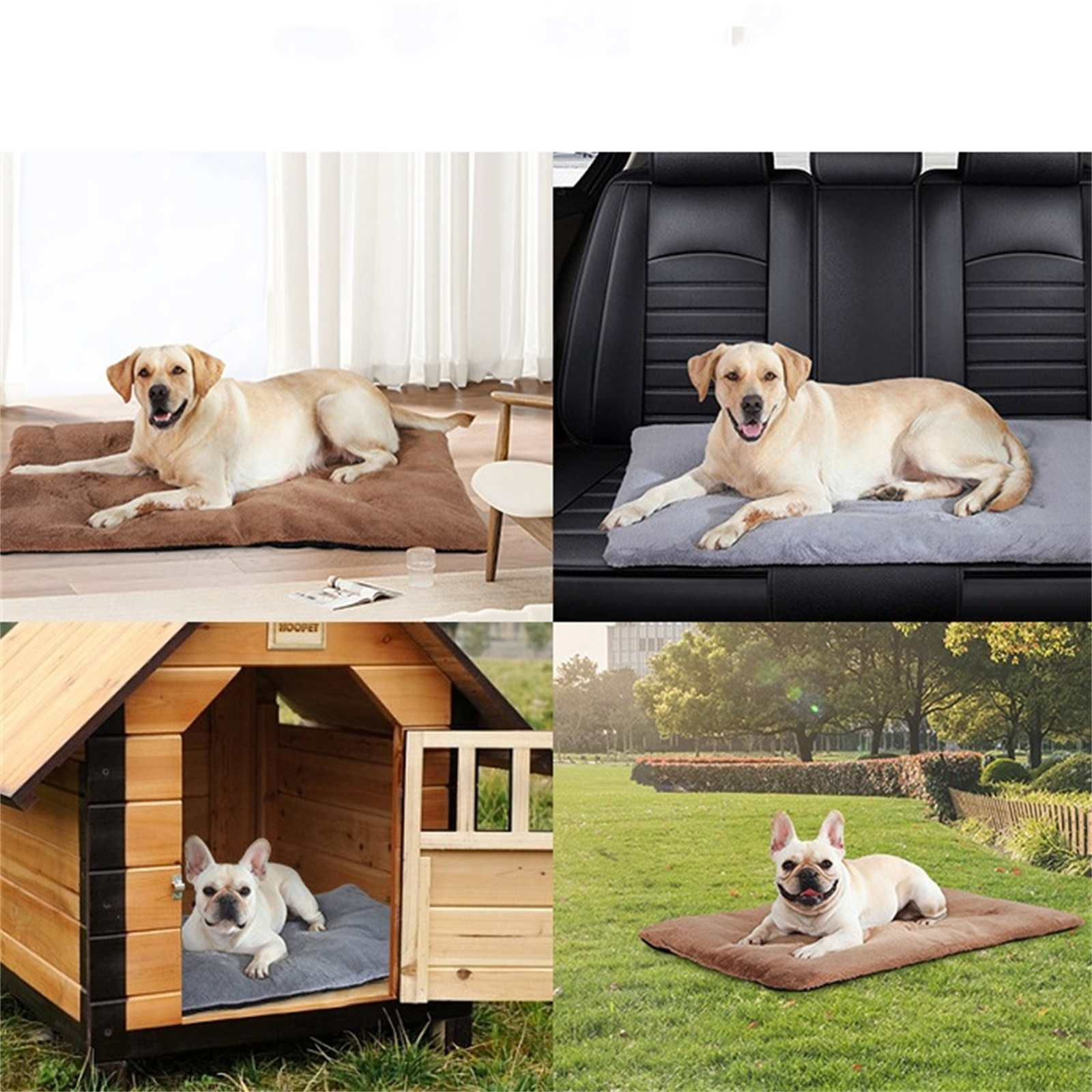 Vier Bilder von Hunden auf Betten. Eines in einem Hundehütte, eines auf einem Autositz und zwei auf dem Boden.