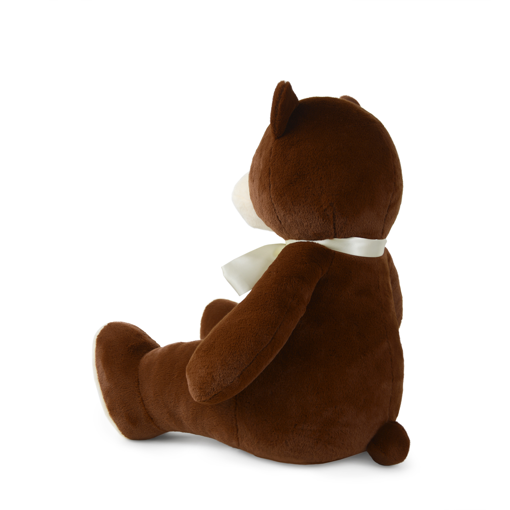 Brauner Teddybär mit weißem Band um den Hals, sitzt auf weißem Hintergrund.