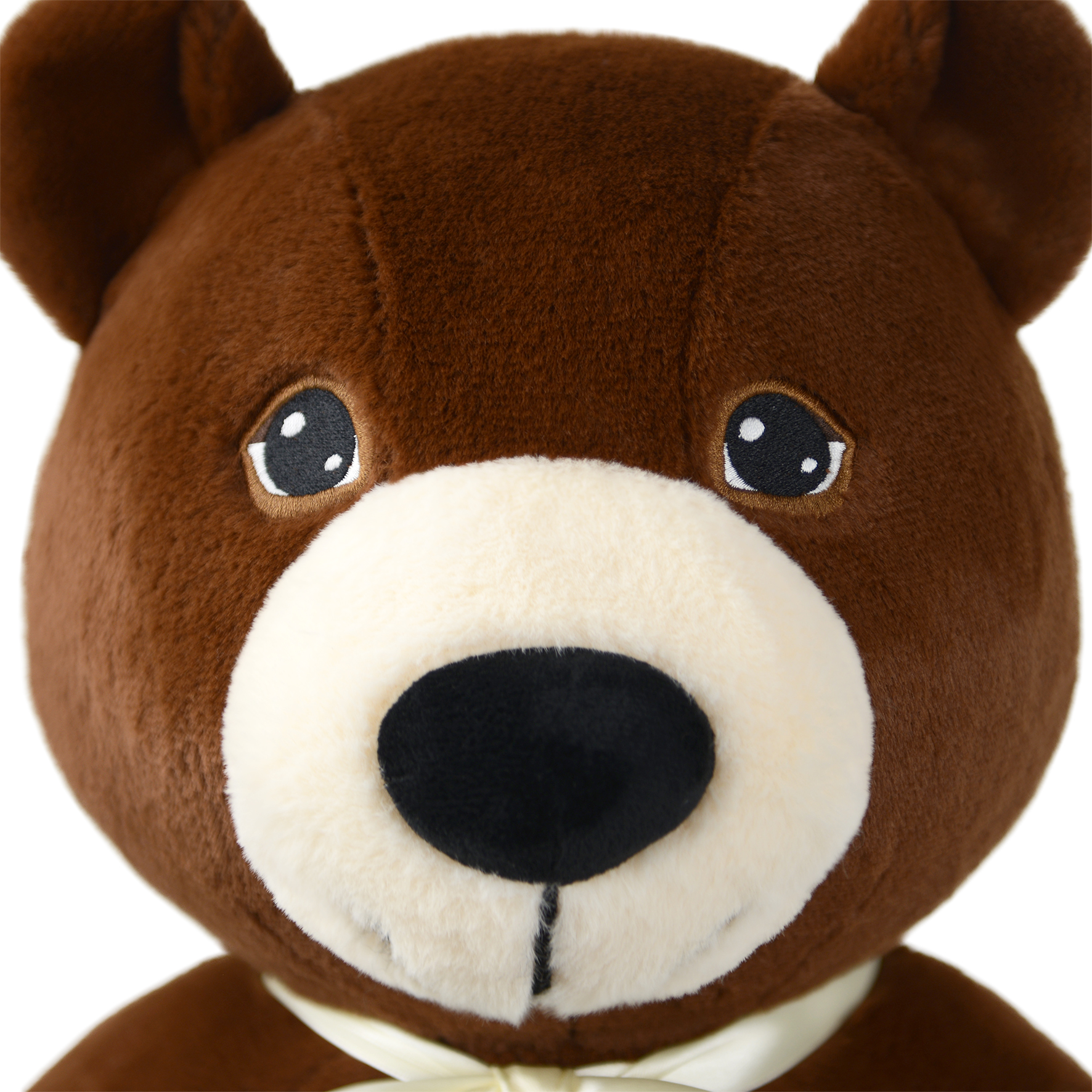 Nahaufnahme eines braunen Teddybärgesichts mit schwarzen Augen, beiger Schnauze und einer Schleife auf weißem Hintergrund.