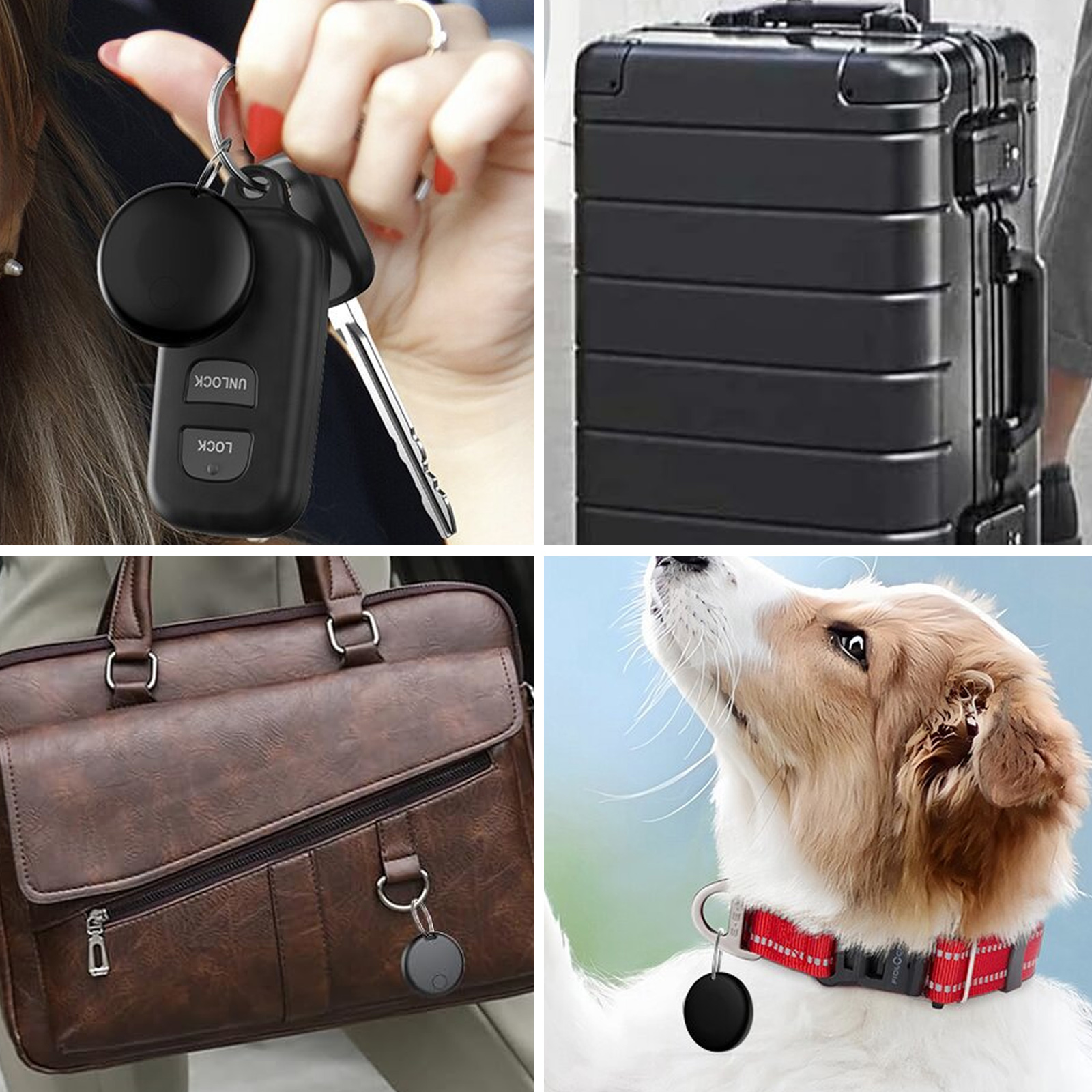 Das Bild zeigt eine Reihe von Gegenständen: Schlüssel mit einem Tracker, einen schwarzen Koffer, eine braune Tasche und einen Hund mit einem Tracker.