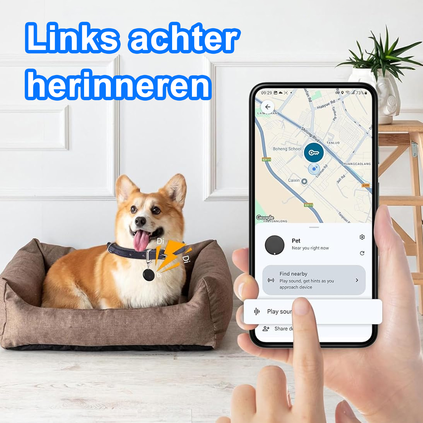 Ein Corgi mit Tracker-Halsband und ein Telefon, das eine Karte anzeigt, und die Optionen, das Haustier zu finden.