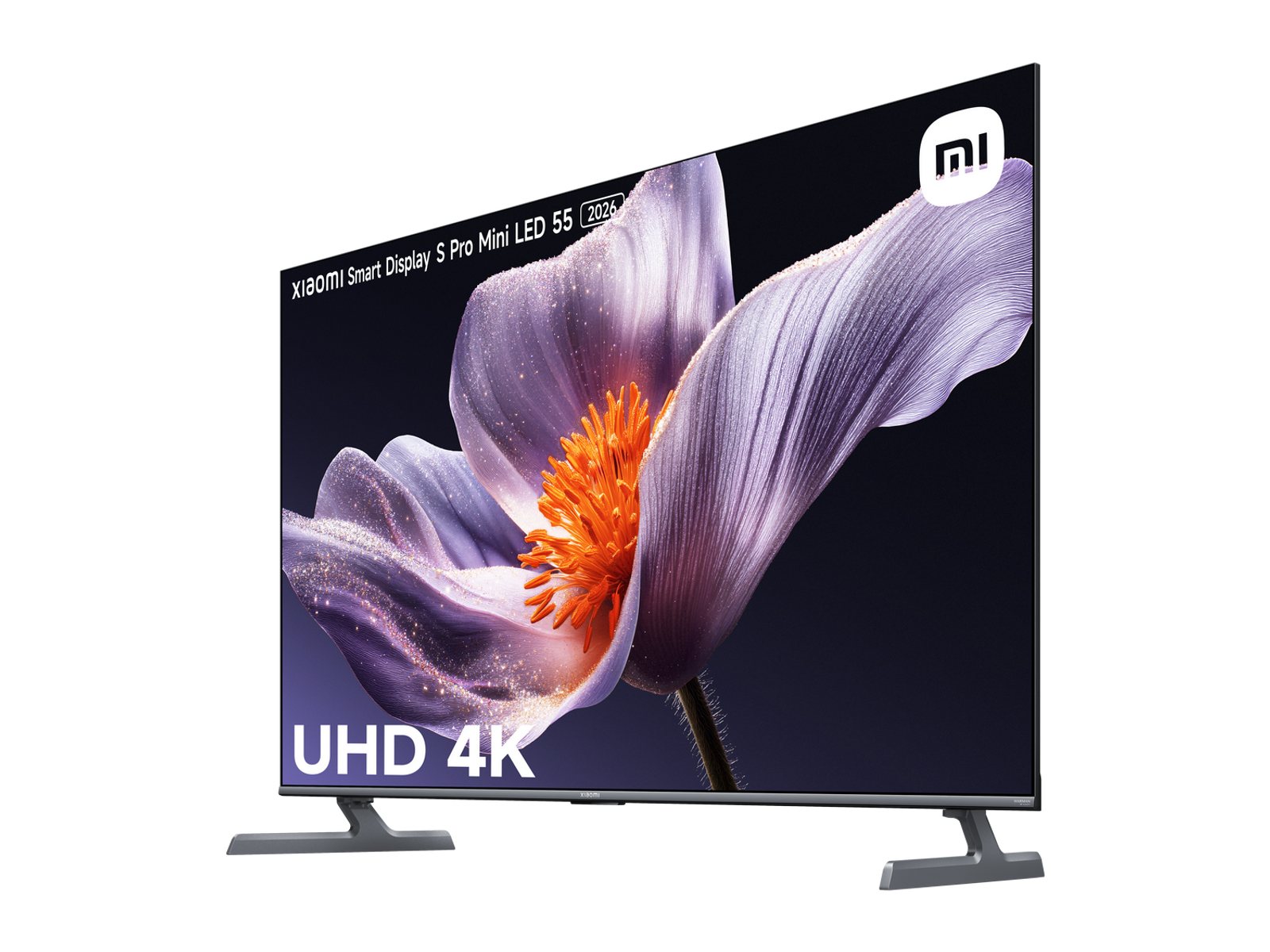TV Xiaomi Smart Display S Pro Mini LED 55. Mostra un'immagine floreale con petali viola e centro arancione.