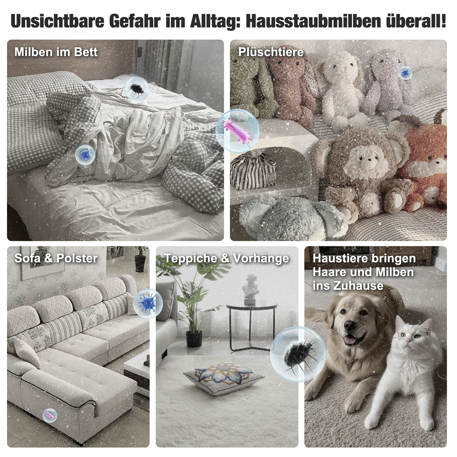 Das Bild zeigt potenzielle Bereiche für Hausstaubmilben: Bett, Plüschtiere, Sofa, Teppiche und Haustiere. Illustrationen von Hausstaubmilben sind platziert.