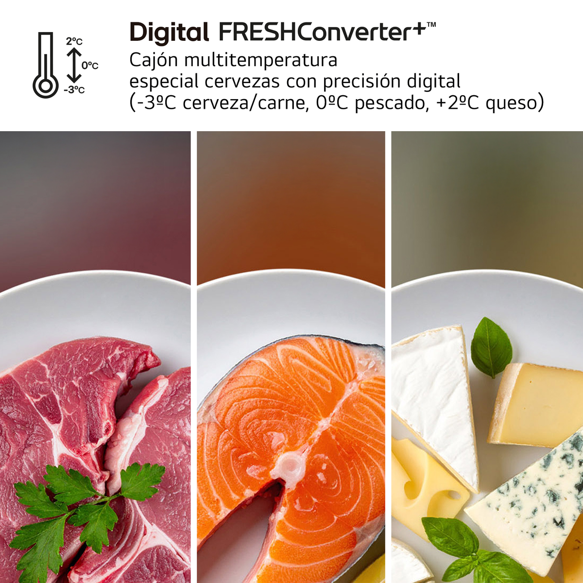 La imagen muestra carne, salmón y queso en platos blancos, con un termómetro y texto sobre un cajón multitemperatura.