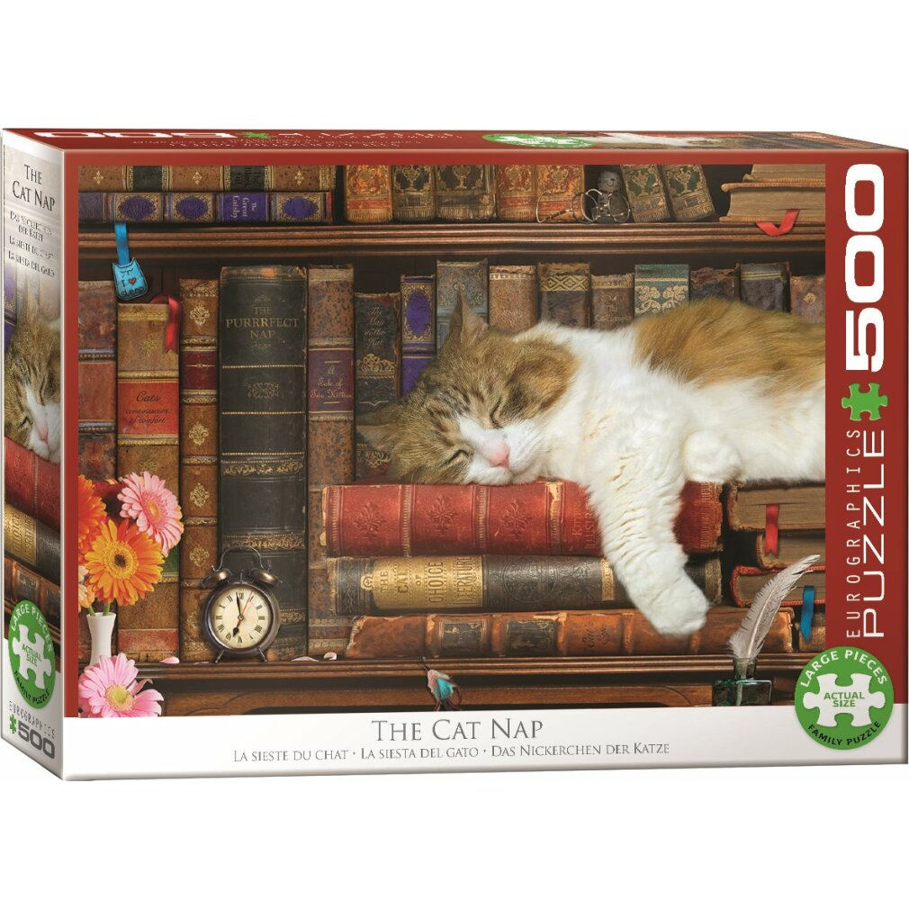Eine Katze schläft auf Büchern in einer Bibliothek. Eine Puzzledose zeigt das Bild. Bücher, Blumen und eine Uhr sind ebenfalls sichtbar.