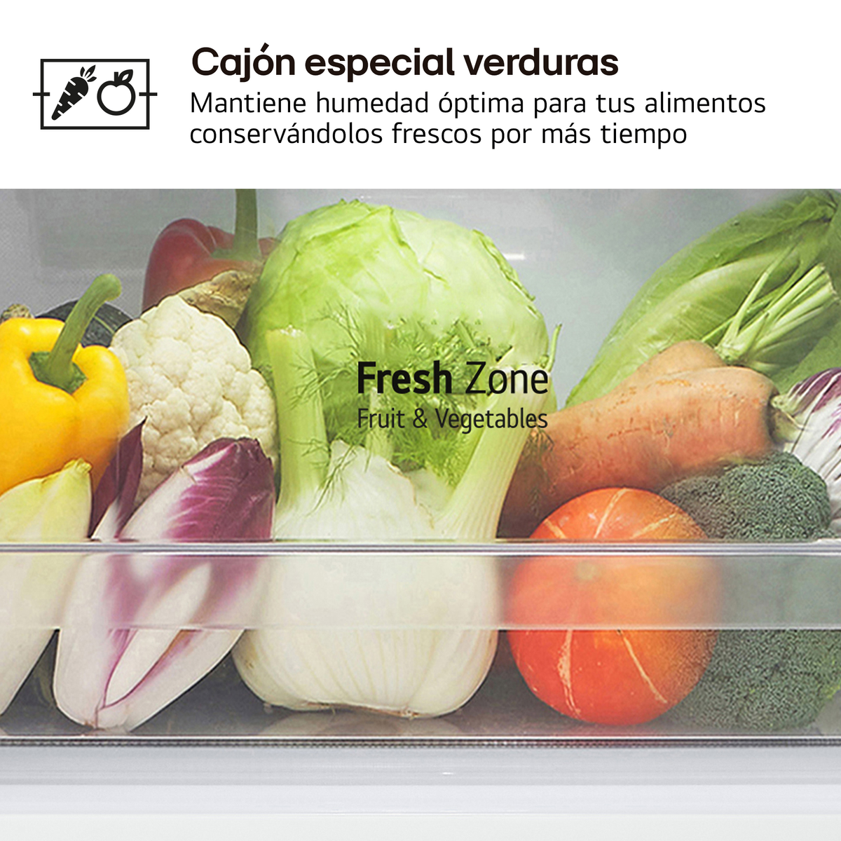 Un cassetto del frigorifero pieno di verdure fresche: cavolo, carote, broccoli, finocchi e altri prodotti colorati.