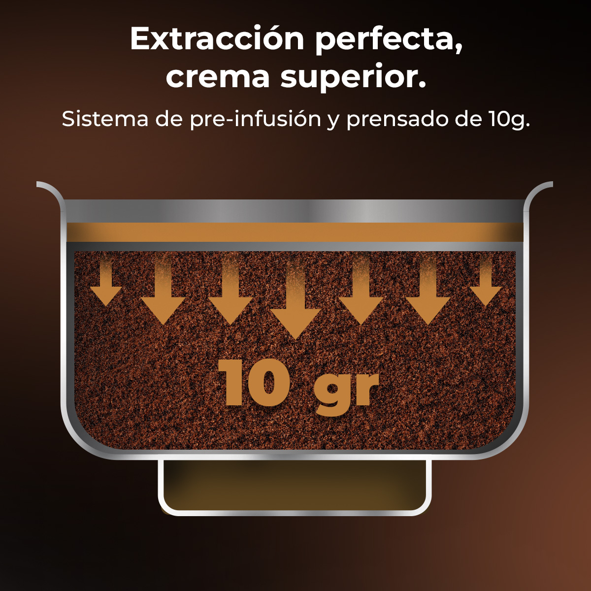 Diagrama muestra café molido en un contenedor con flechas que indican el proceso de extracción. El texto dice '10 gr' y 'extracción perfecta'.