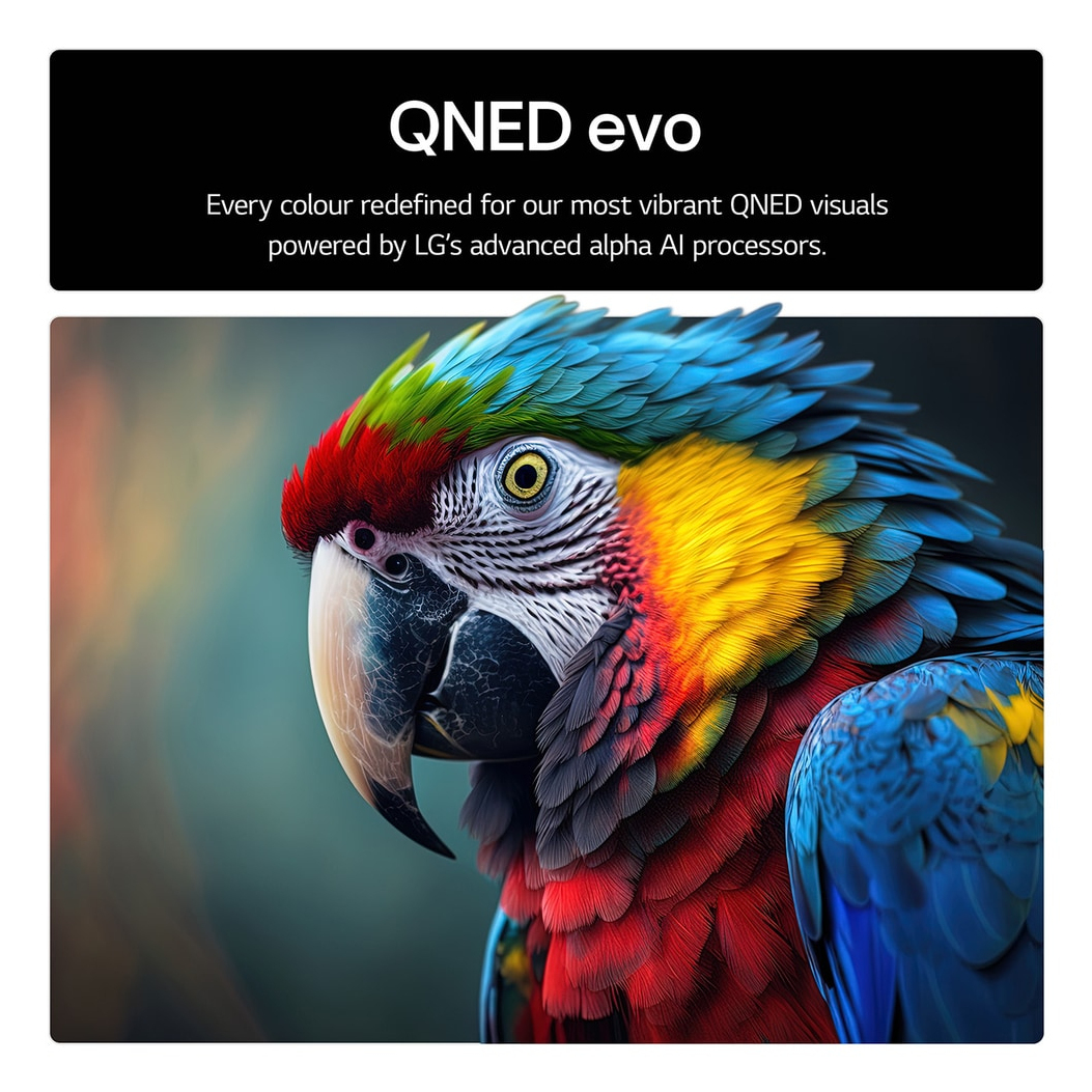 Un guacamayo colorido con plumas rojas, azules, amarillas y verdes. Mira hacia un lado. Arriba está el texto: QNED evo.