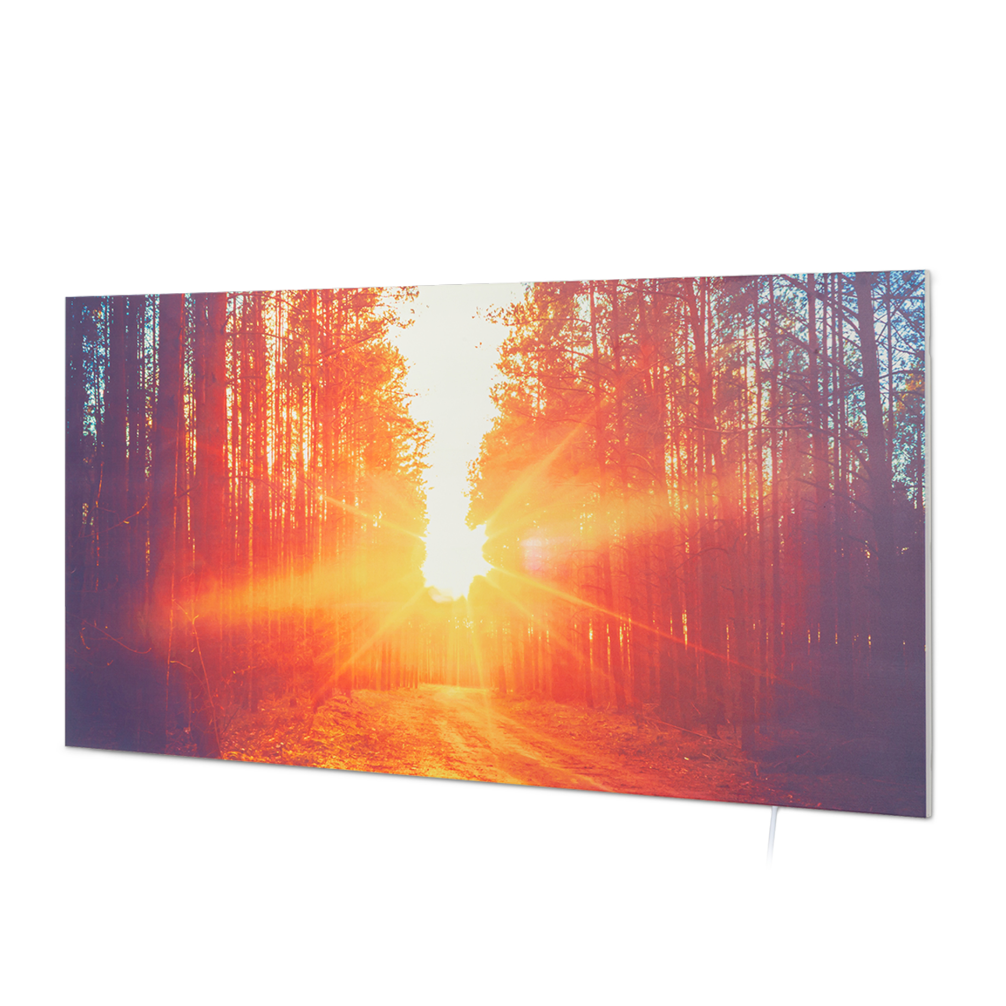 Sonnenuntergang durch einen Wald. Sonnenstrahlen scheinen durch Bäume auf einem Pfad und erzeugen eine warme, lebendige Szene.