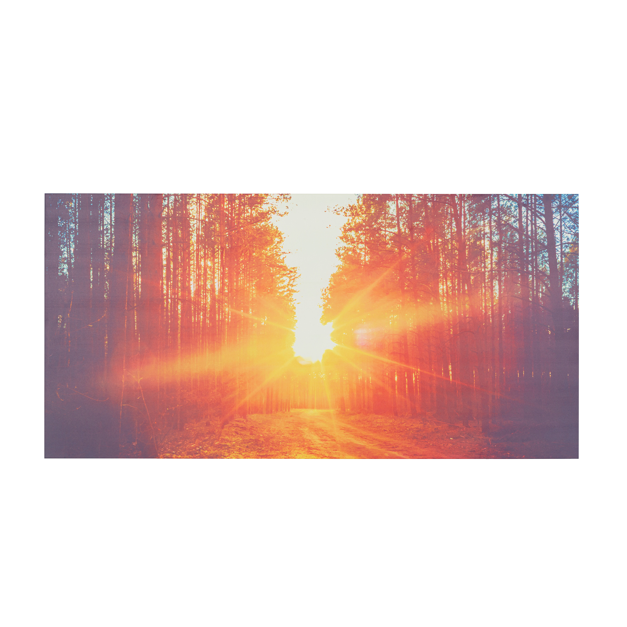 Sonnenlicht scheint durch einen Wald und schafft einen hellen Pfad. Hohe Bäume säumen die Seiten und werfen Schatten. Der Himmel ist hell.