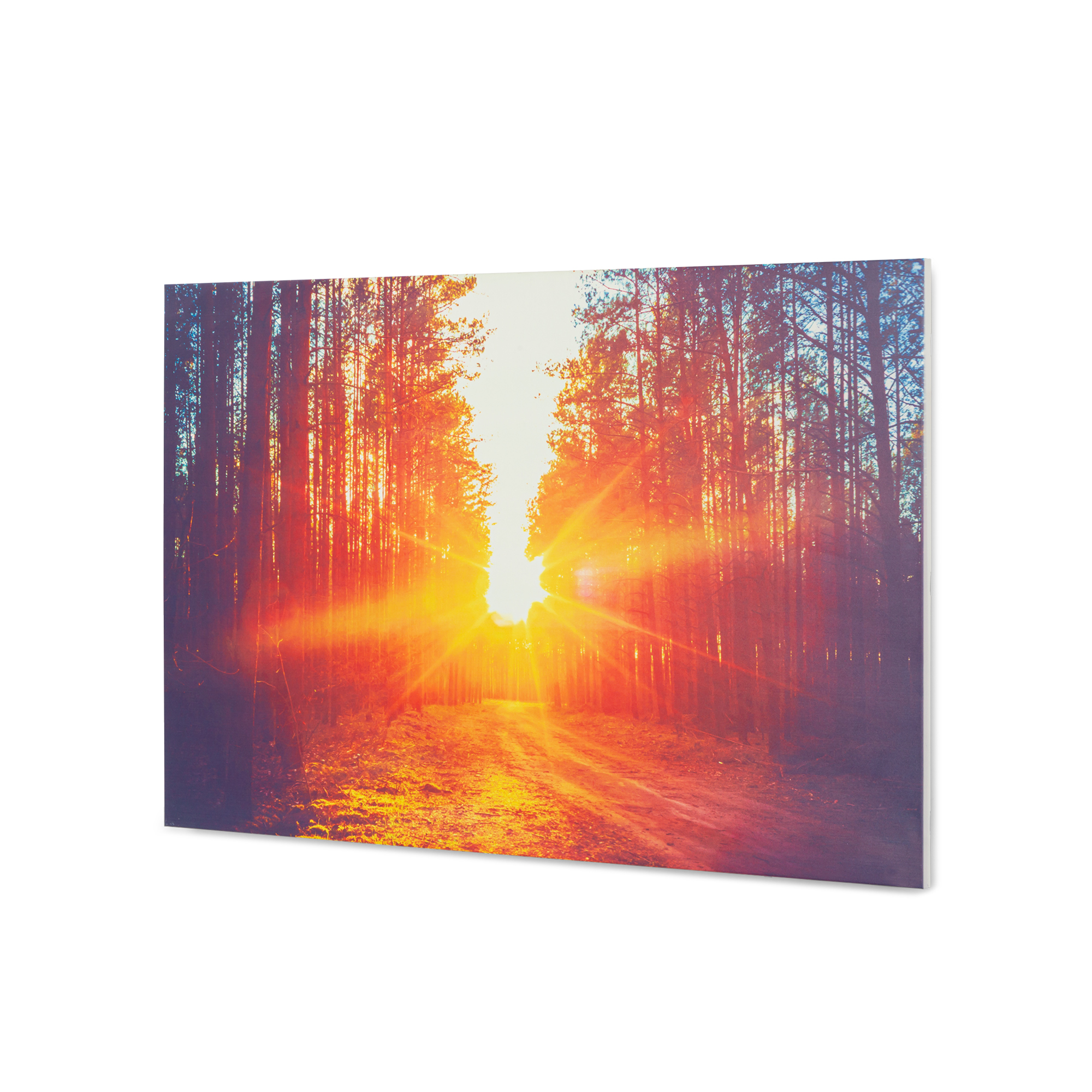 Una vibrante escena forestal. La luz del sol atraviesa árboles altos, iluminando un camino. El cielo es brillante, con colores cálidos.