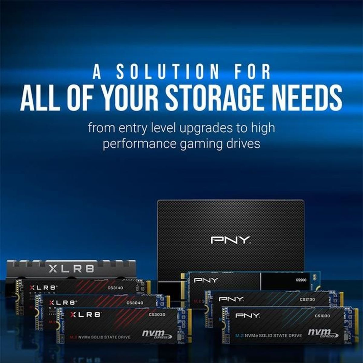 Obraz przedstawia dyski pamięci masowej komputera. Tekst brzmi „A SOLUTION FOR ALL OF YOUR STORAGE NEEDS”. Marki to PNY i XLR8.