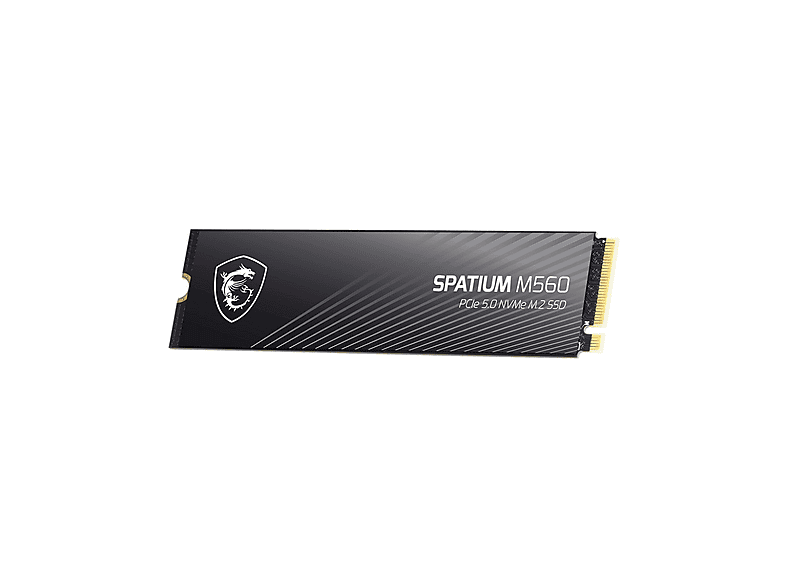 MSI Spatium M560 PCIE 5.0 NVME M.2 M.2 2000 GB Dahili SSD Disk