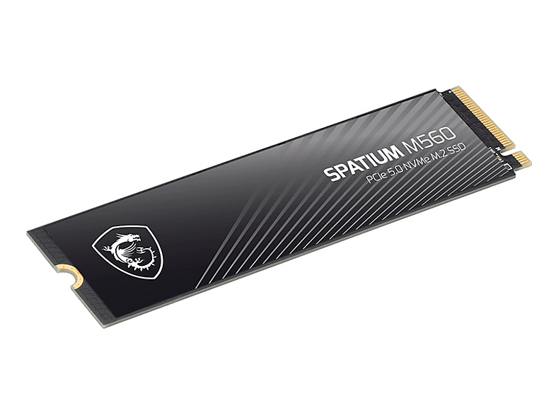MSI Spatium M560 PCIE 5.0 NVME M.2 M.2 2000 GB Dahili SSD Disk
