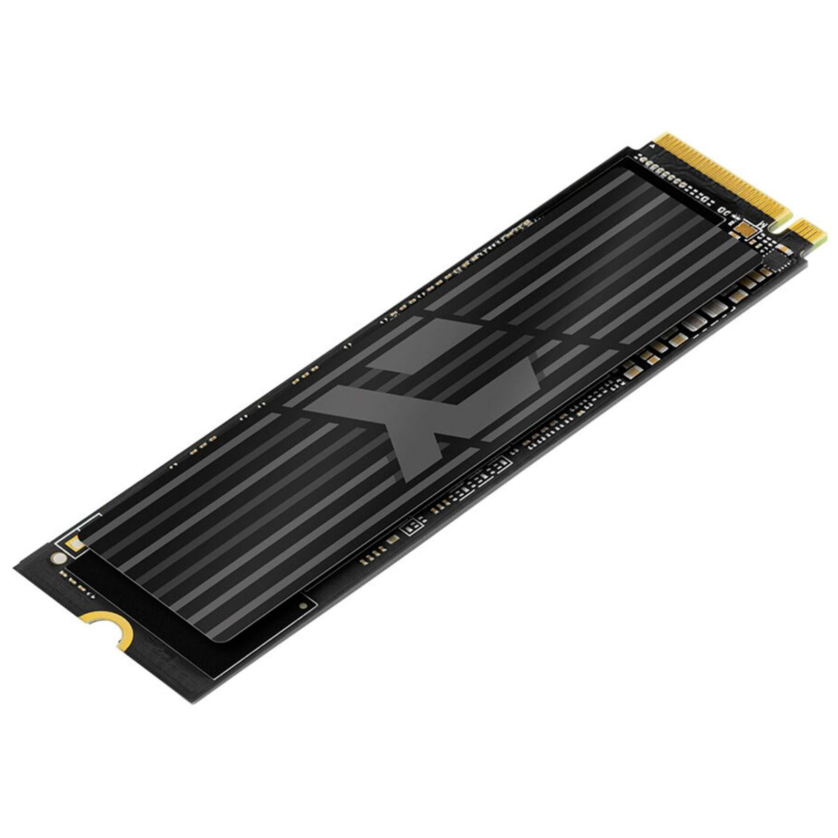 A black NVMe SSD with silver stripes and a large 'X' logo. Gold connectors are at one end. The background is white.
