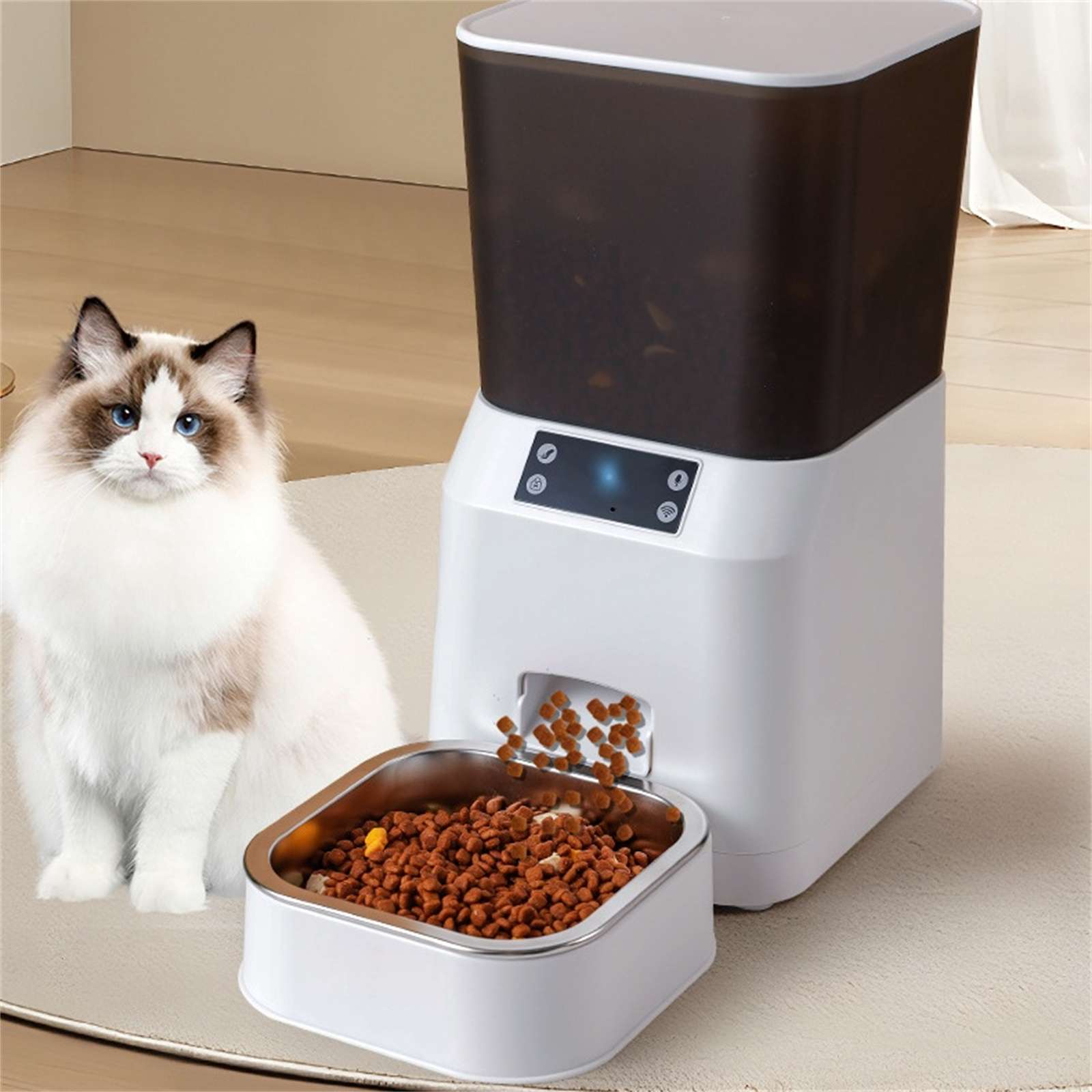 Eine Katze sitzt neben einem Futterautomaten, der Futter in eine Edelstahlschüssel abgibt. Die Katze hat blaue Augen.