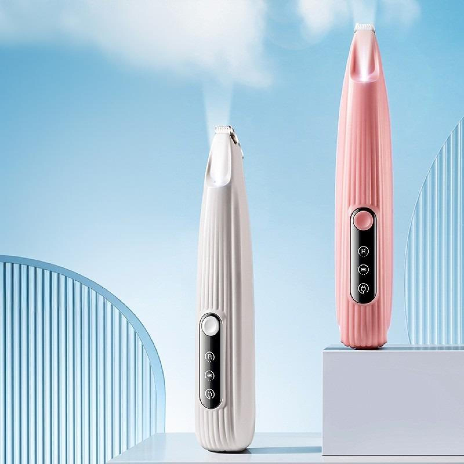 Zwei elektrische Gesichtsdampfer, einer weiß und einer rosa, vor blauem Hintergrund, Dampf tritt aus dem weißen aus.