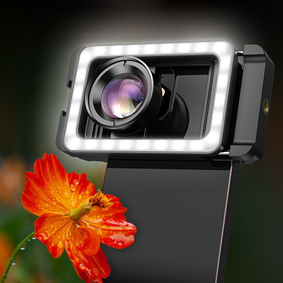 Ein Telefon mit Kameraaufsatz und eine leuchtend orangefarbene Blume im Vordergrund. Die Kamera hat einen hellen LED-Ring.