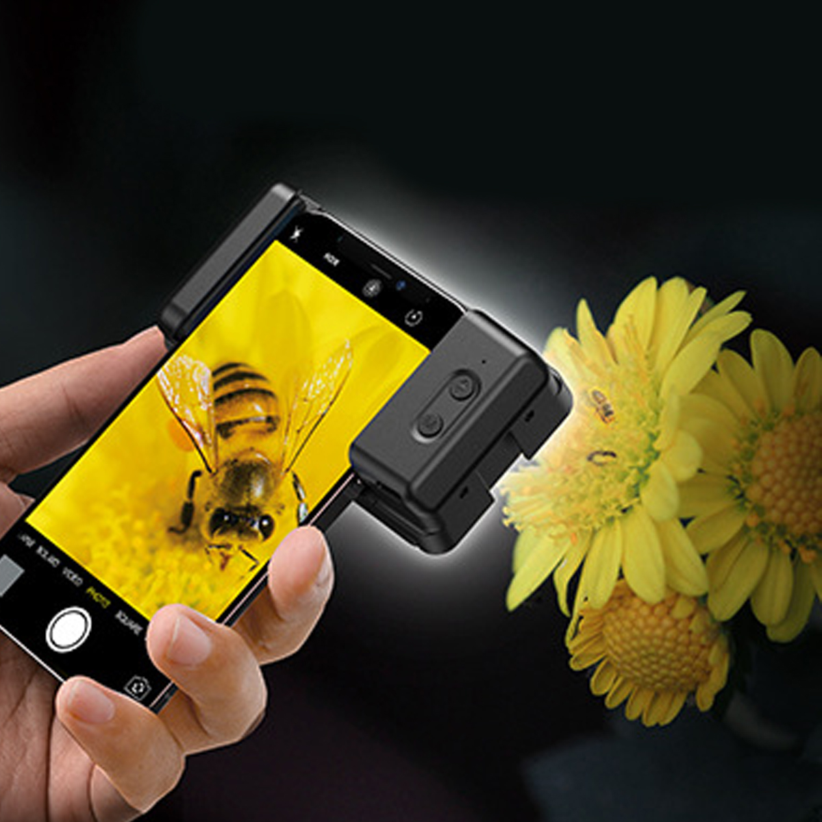 Eine Hand hält ein Smartphone, das eine Biene auf einer gelben Blume zeigt. Ein schwarzes Gerät ist angebracht. Gelbe Blumen rechts.