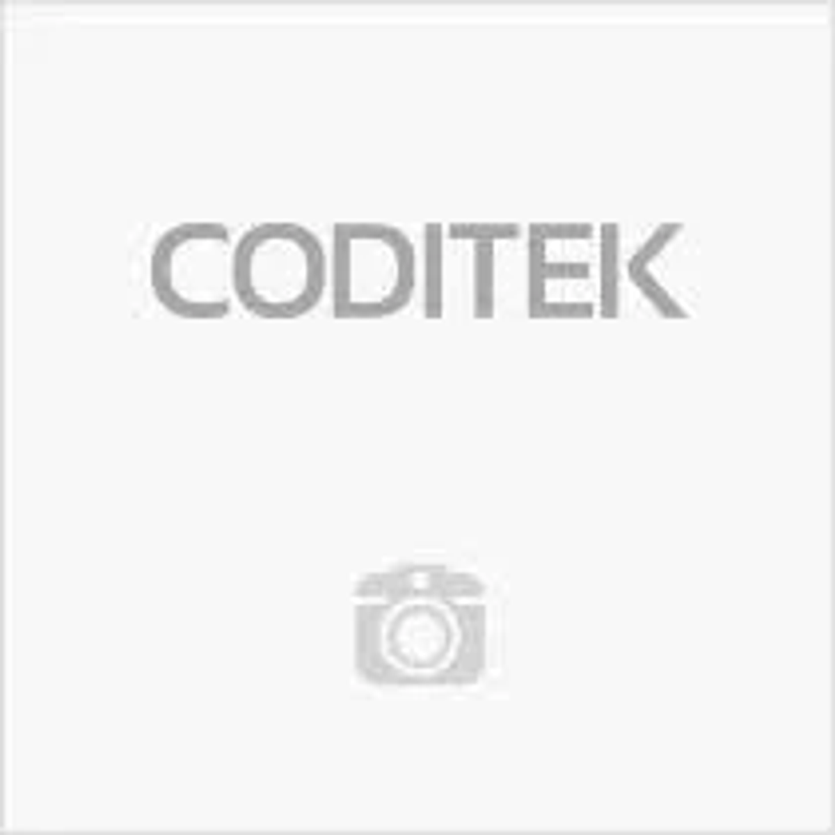 L'immagine mostra la parola 'CODITEK' in lettere grigie. Sotto, un'icona di fotocamera grigia, su sfondo bianco.