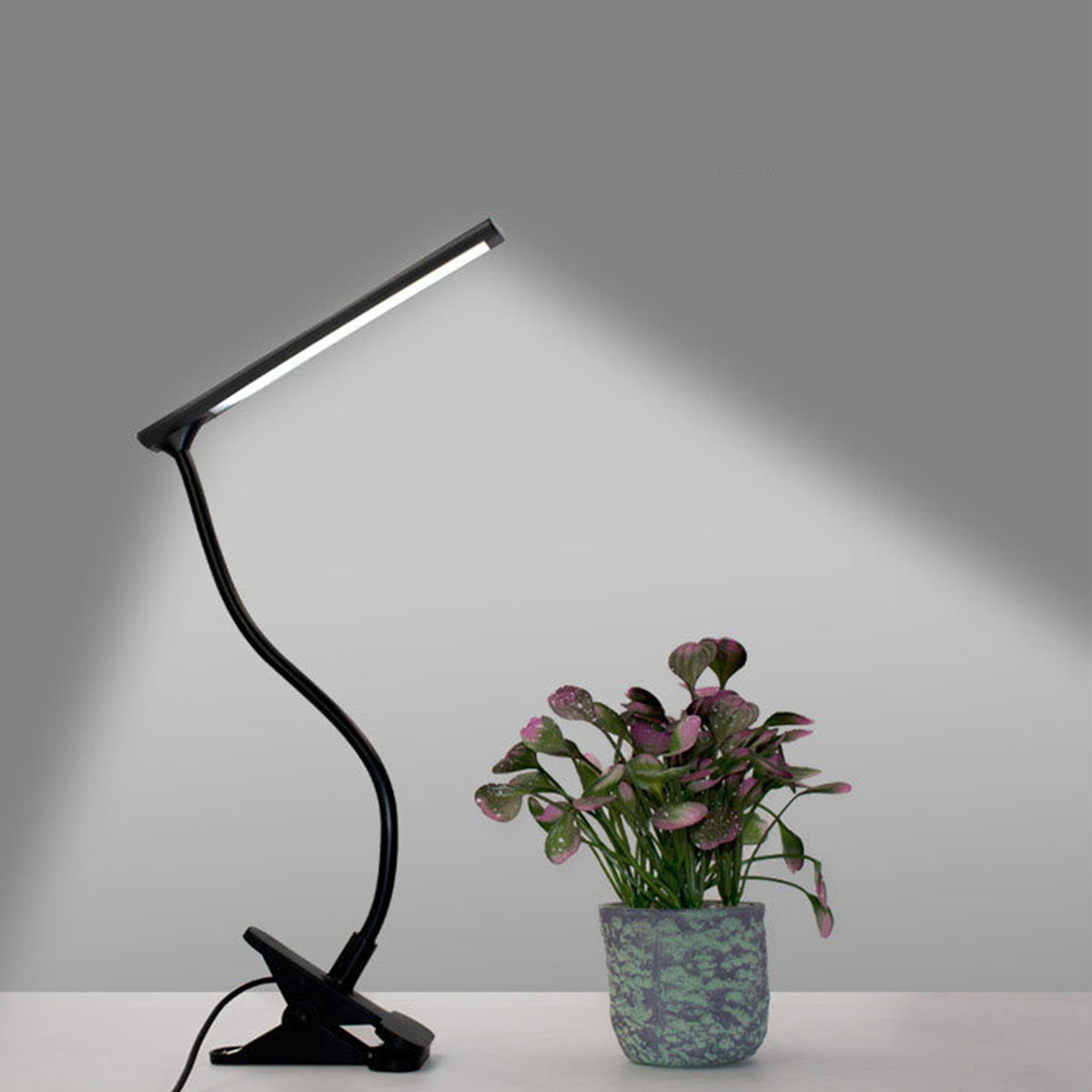 Eine schwarze Schreibtischlampe mit flexiblem Arm leuchtet. Rechts ist eine Topfpflanze mit grünen und lila Blättern.