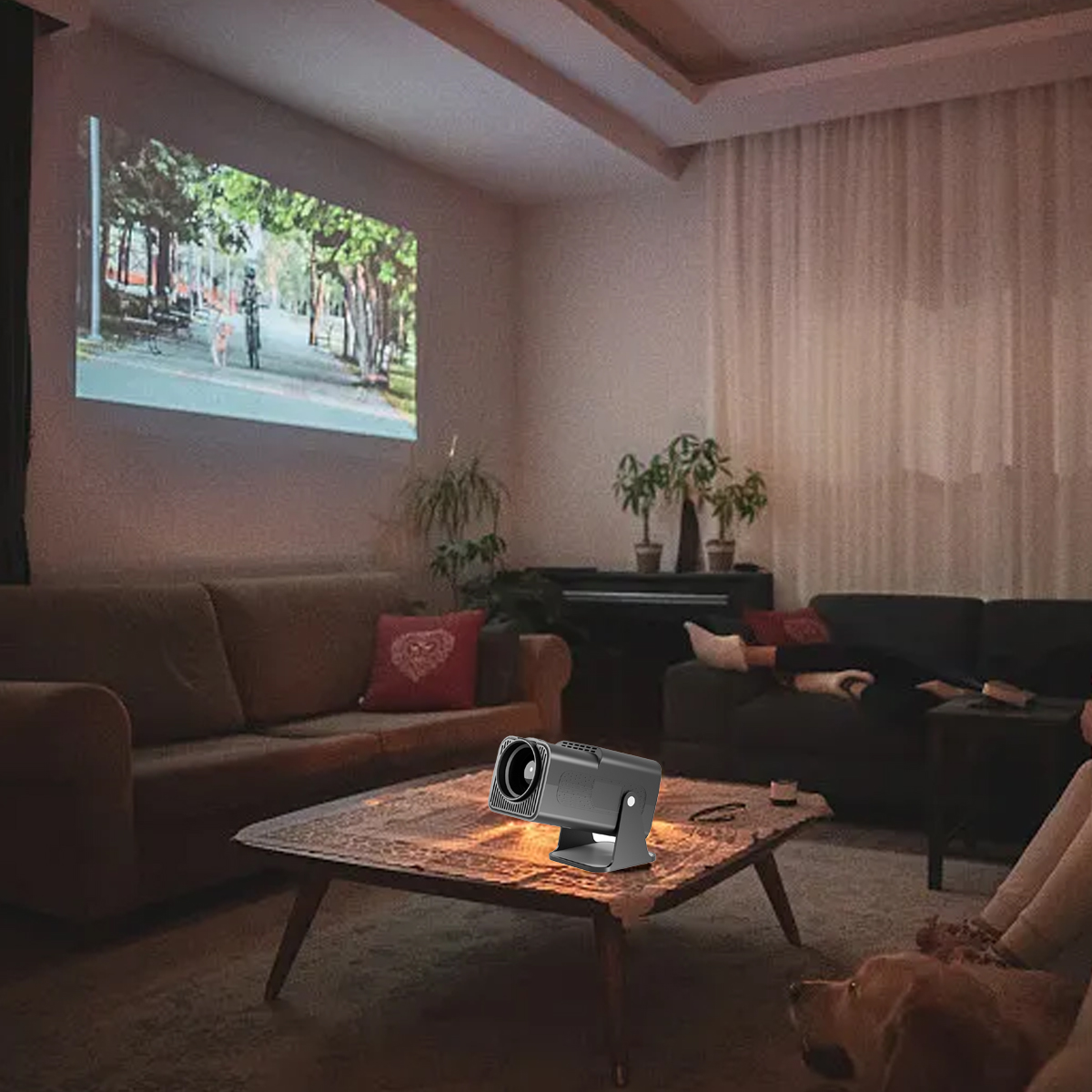 Ein Projektor zeigt ein Bild an der Wand. Ein Raum mit Sofa, Tisch und Hund. Eine Person liegt auf dem Sofa.