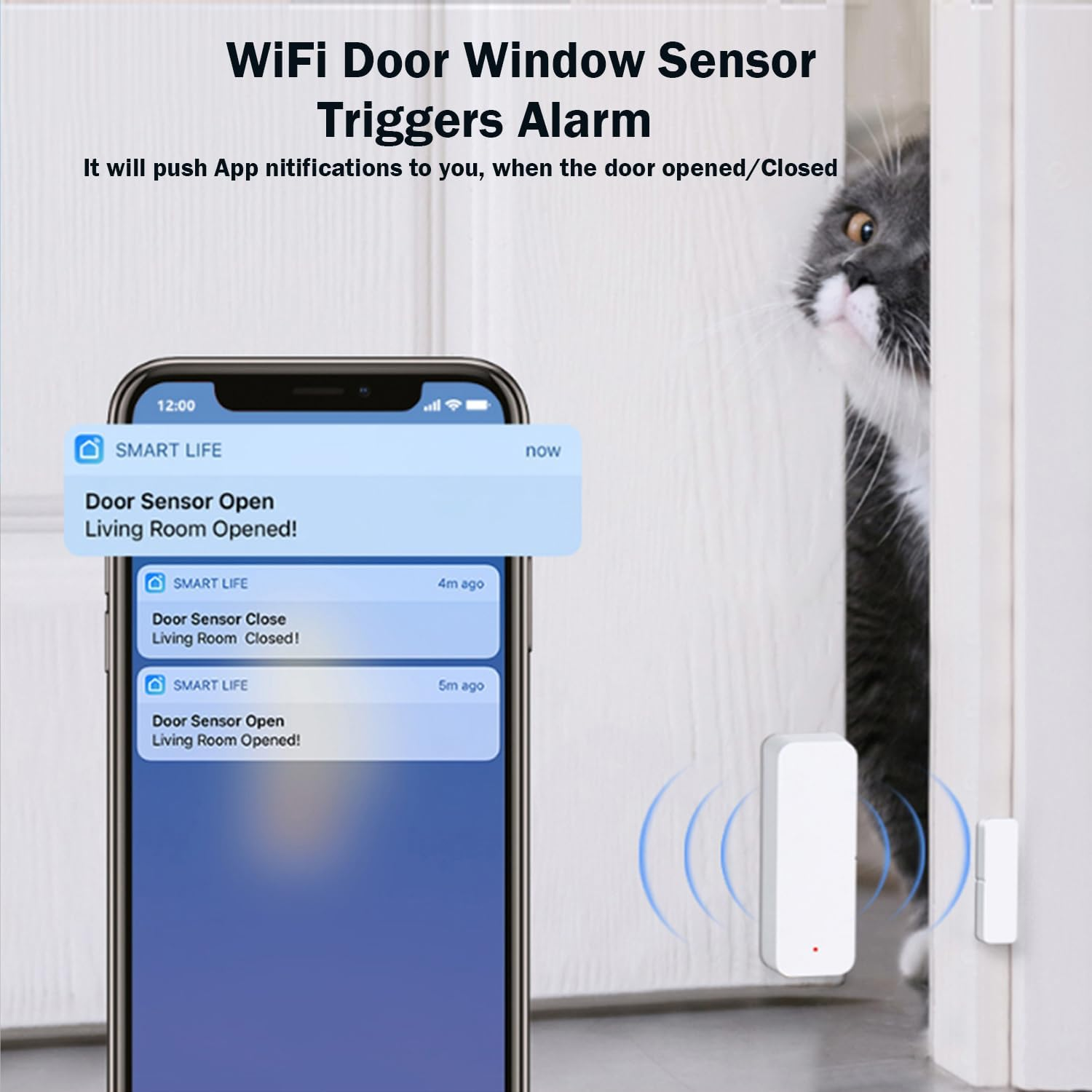Ein Smartphone zeigt Benachrichtigungen vom Türsensor. Eine Katze schaut aus einer Tür. Ein weißer Sensor befindet sich an der Tür.