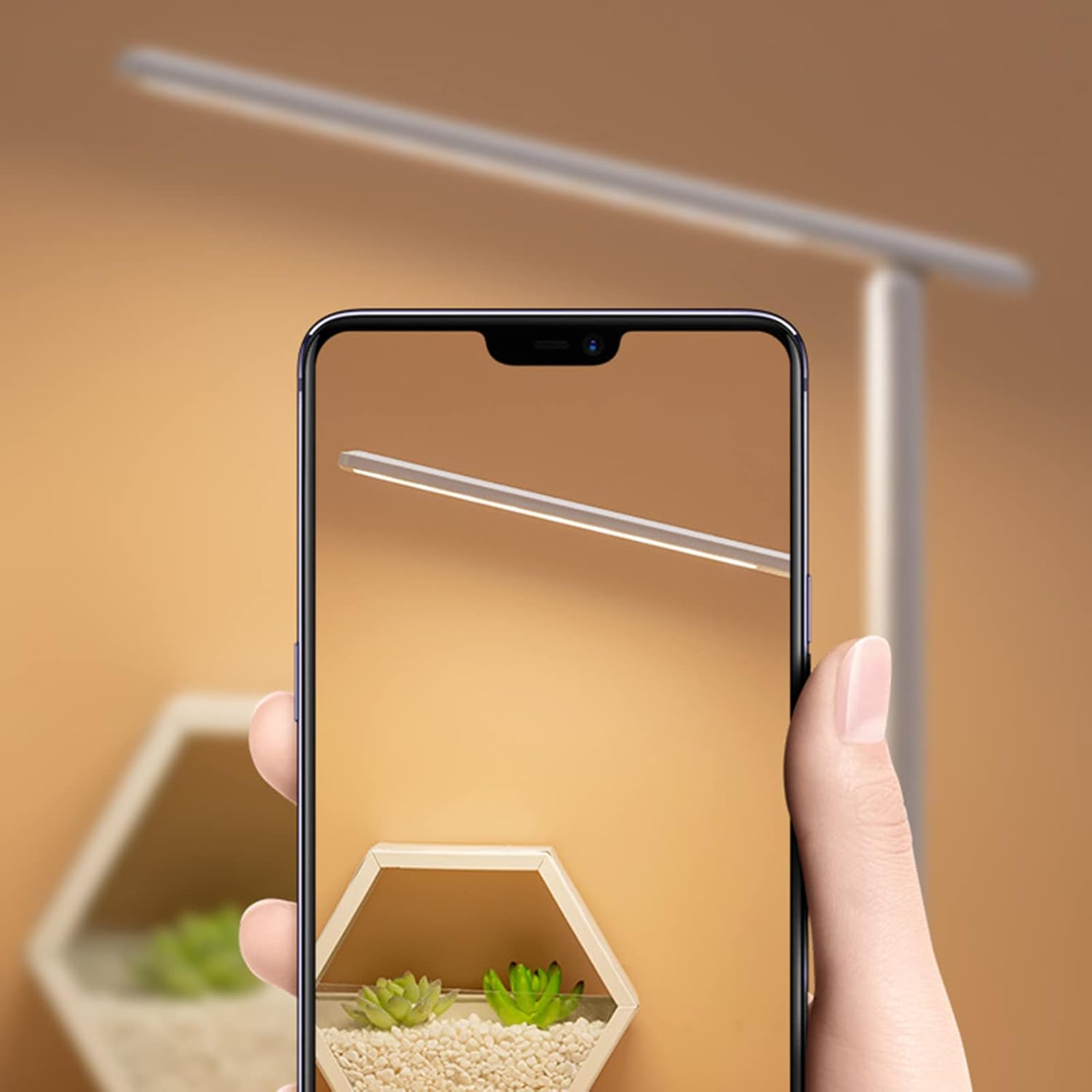 Eine Hand hält ein Telefon, auf dem eine Pflanze in einem Holzrahmen zu sehen ist. Im Hintergrund ist eine Lampe.
