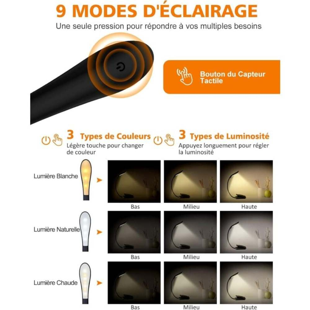 Diagramm einer Lampe mit 9 Modi. Es hat 3 Farbtypen und 3 Helligkeitsstufen. Enthält Etiketten auf Französisch.