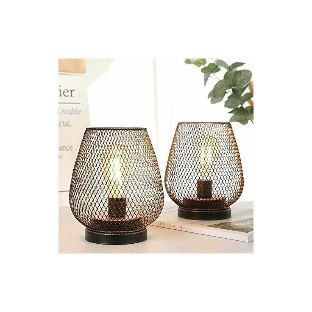 Zwei dekorative Lampen mit Metallgitter-Schirmen. Jede hat eine Glühbirne. Sie stehen auf einem Tisch mit Buch und Grün im Hintergrund.