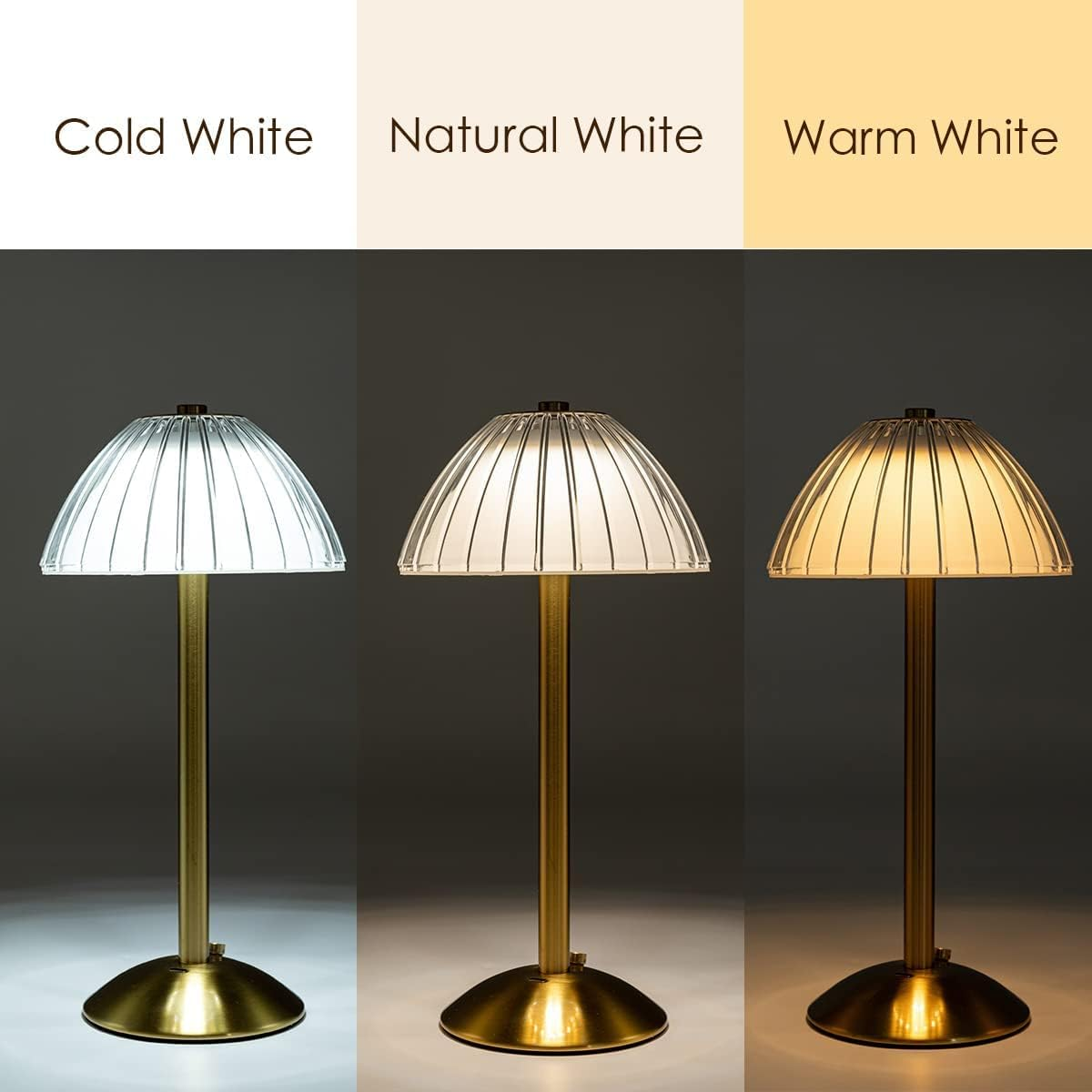Drei Lampen mit unterschiedlichen Lichteinstellungen (kalt, natürlich und warmweiß). Jede Lampe hat einen goldenen Fuß und Stiel mit Glasschirm.